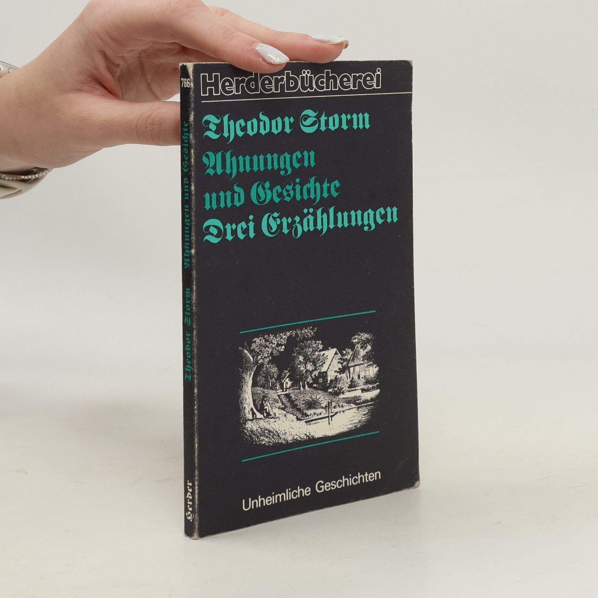 Theodor Storm Ahnungen und Gesichte
