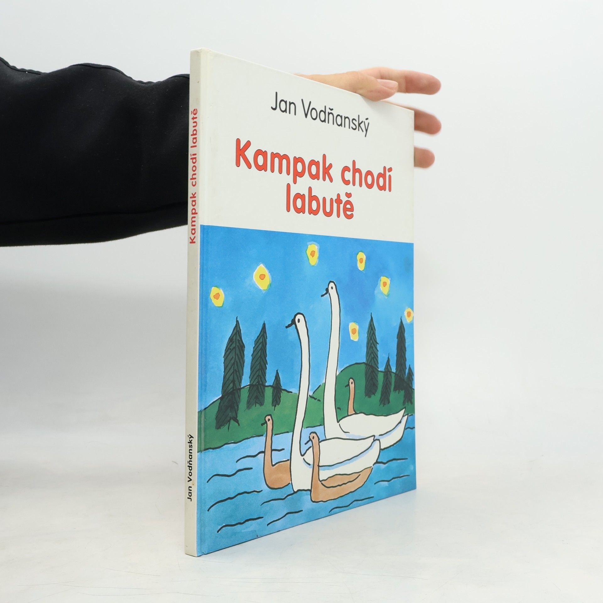 Kampak chodí labutě