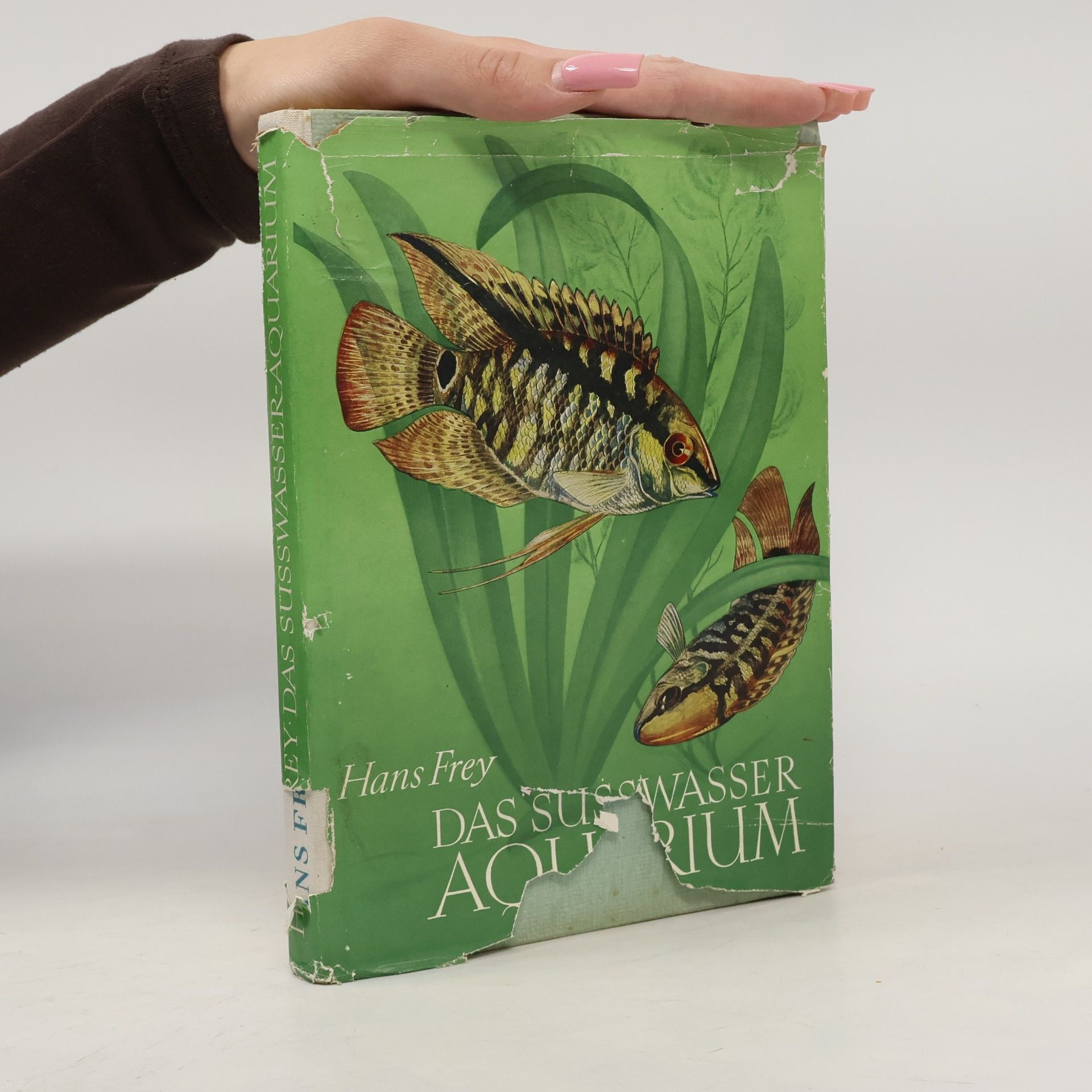 Hans-Jost Frey Das Süsswasser-Aquarium