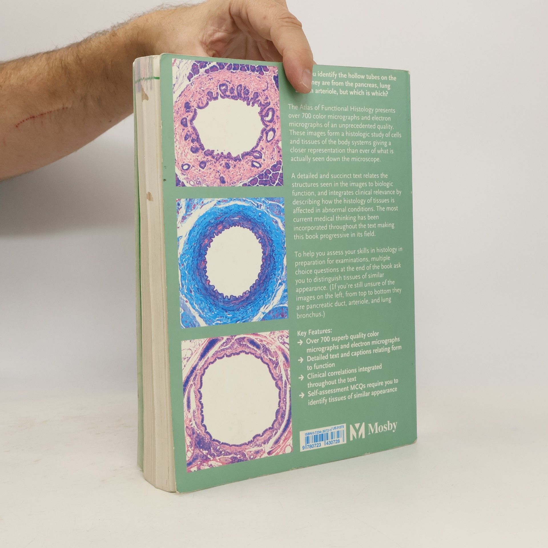 Jeffrey B. Kerr Functional Histology