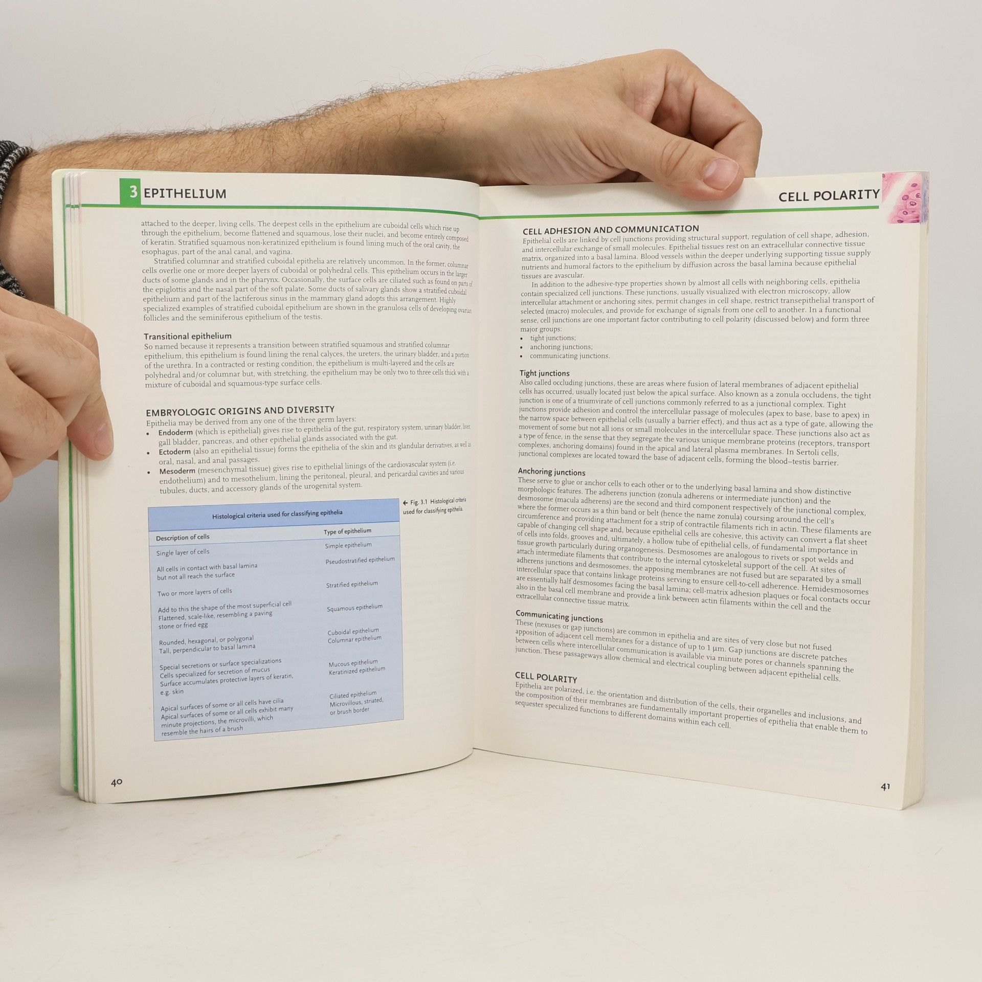 Jeffrey B. Kerr Functional Histology