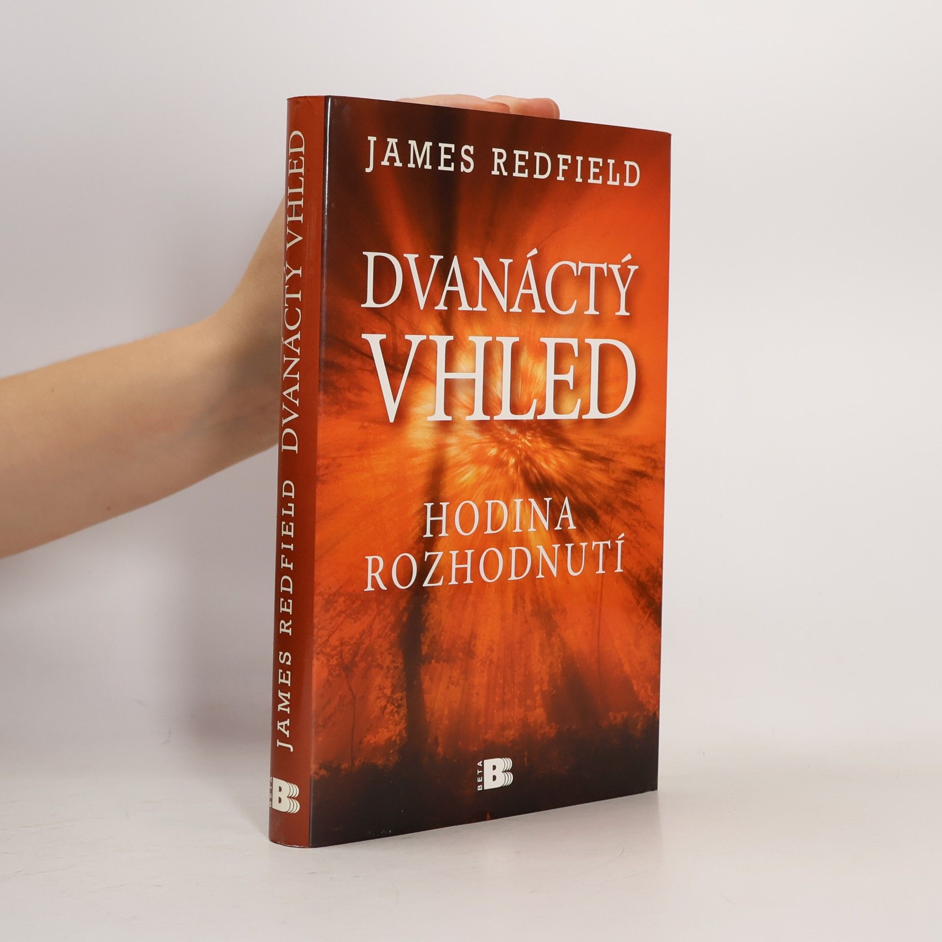 James Redfield Dvanáctý vhled