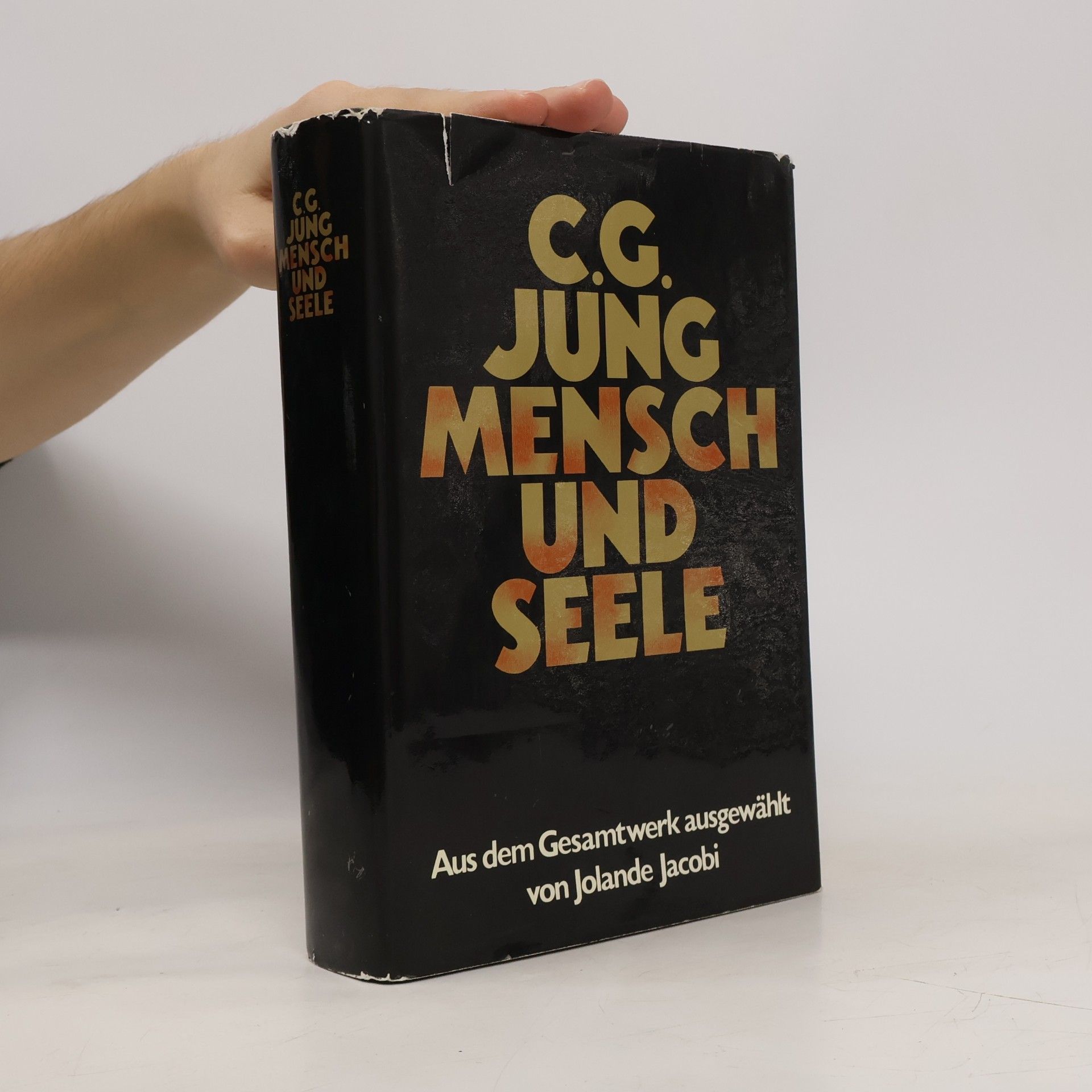 Carl Jung Mensch und Seele