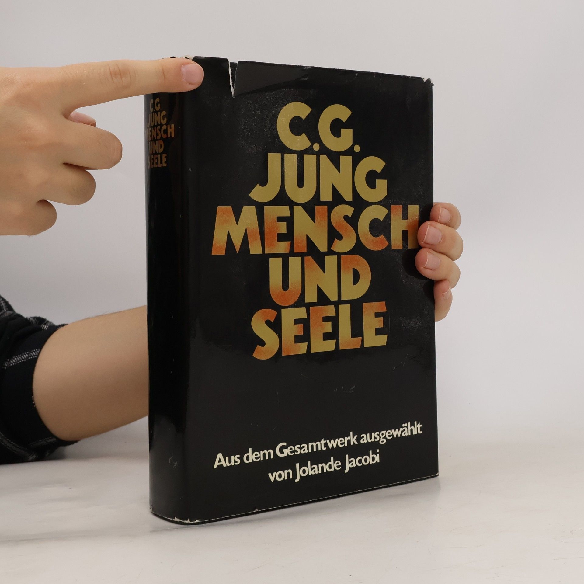 Carl Jung Mensch und Seele