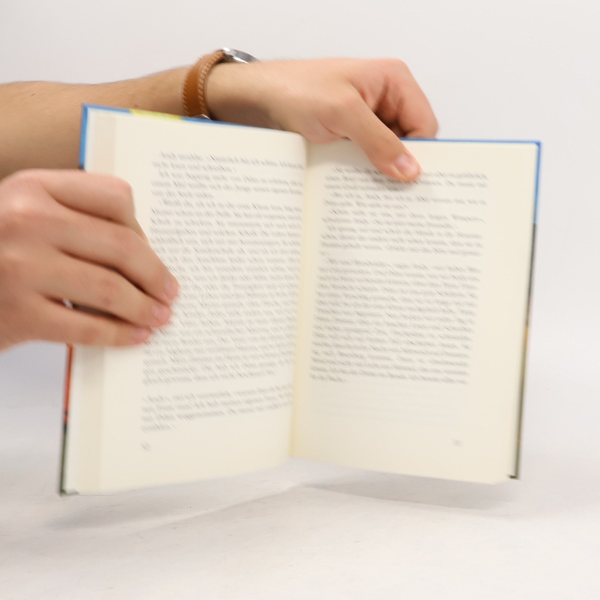 Helmut Sakowski Raoul Habenicht gegen den Rest der Welt