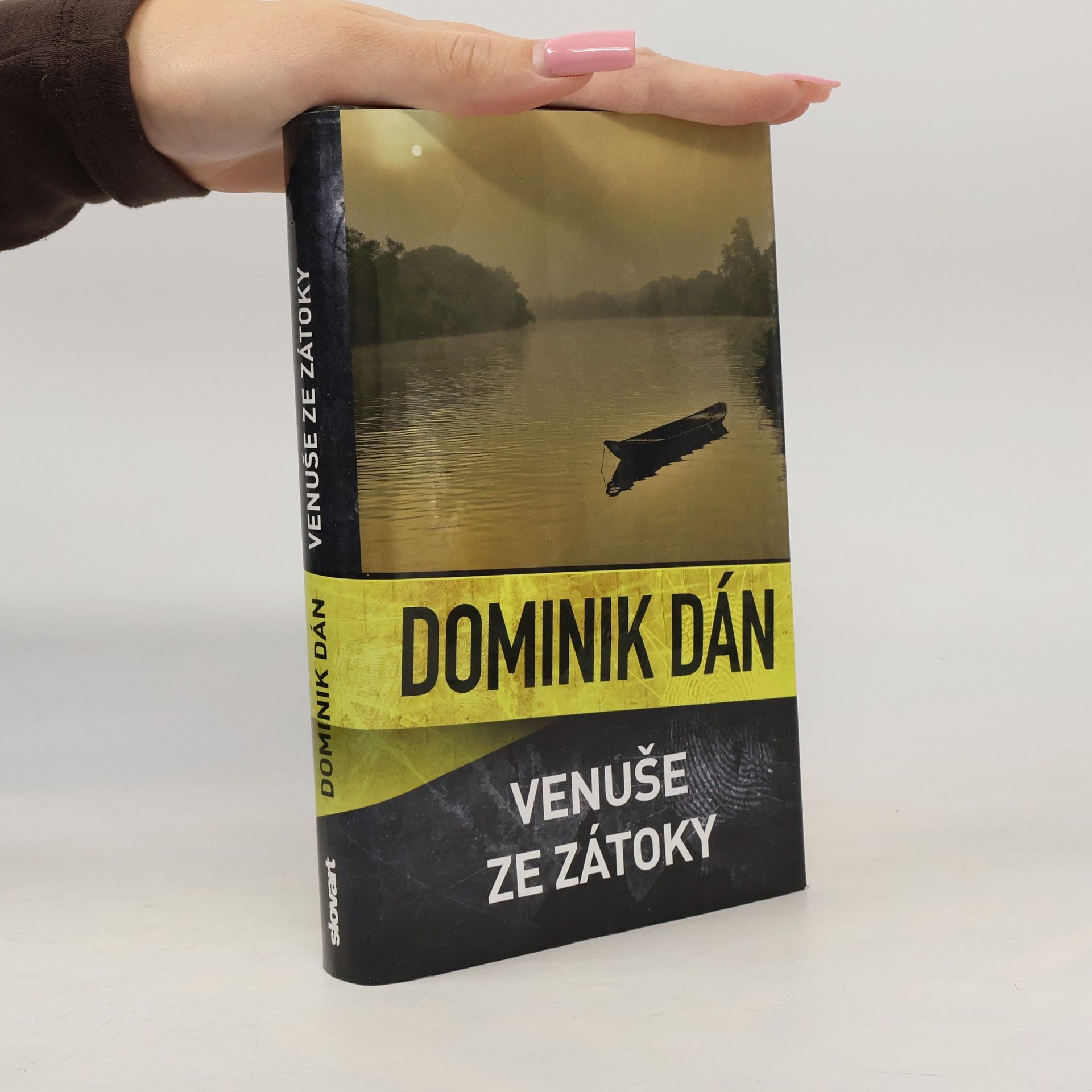 Dominik Dán Venuše ze zátoky