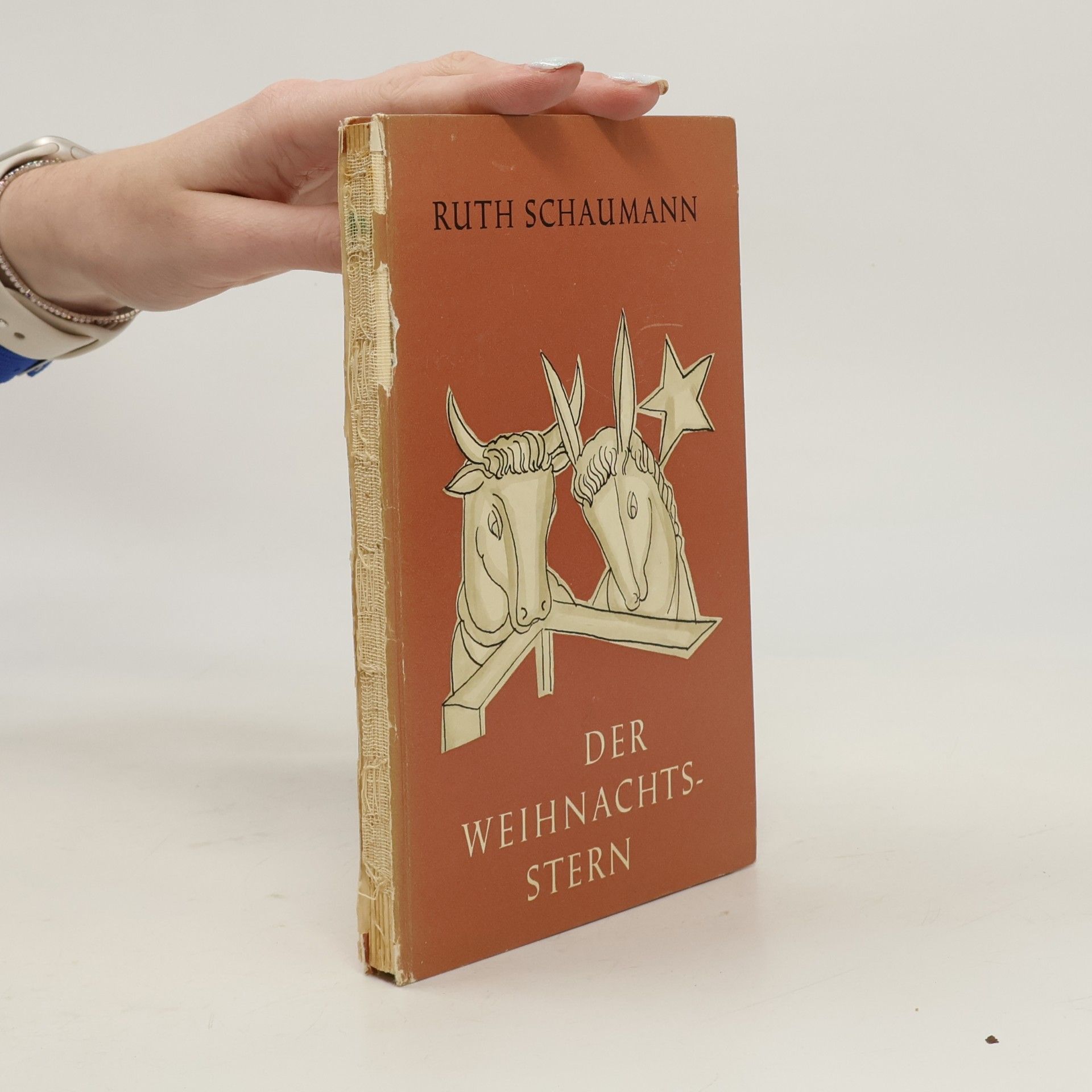 Der Weihnachtsstern