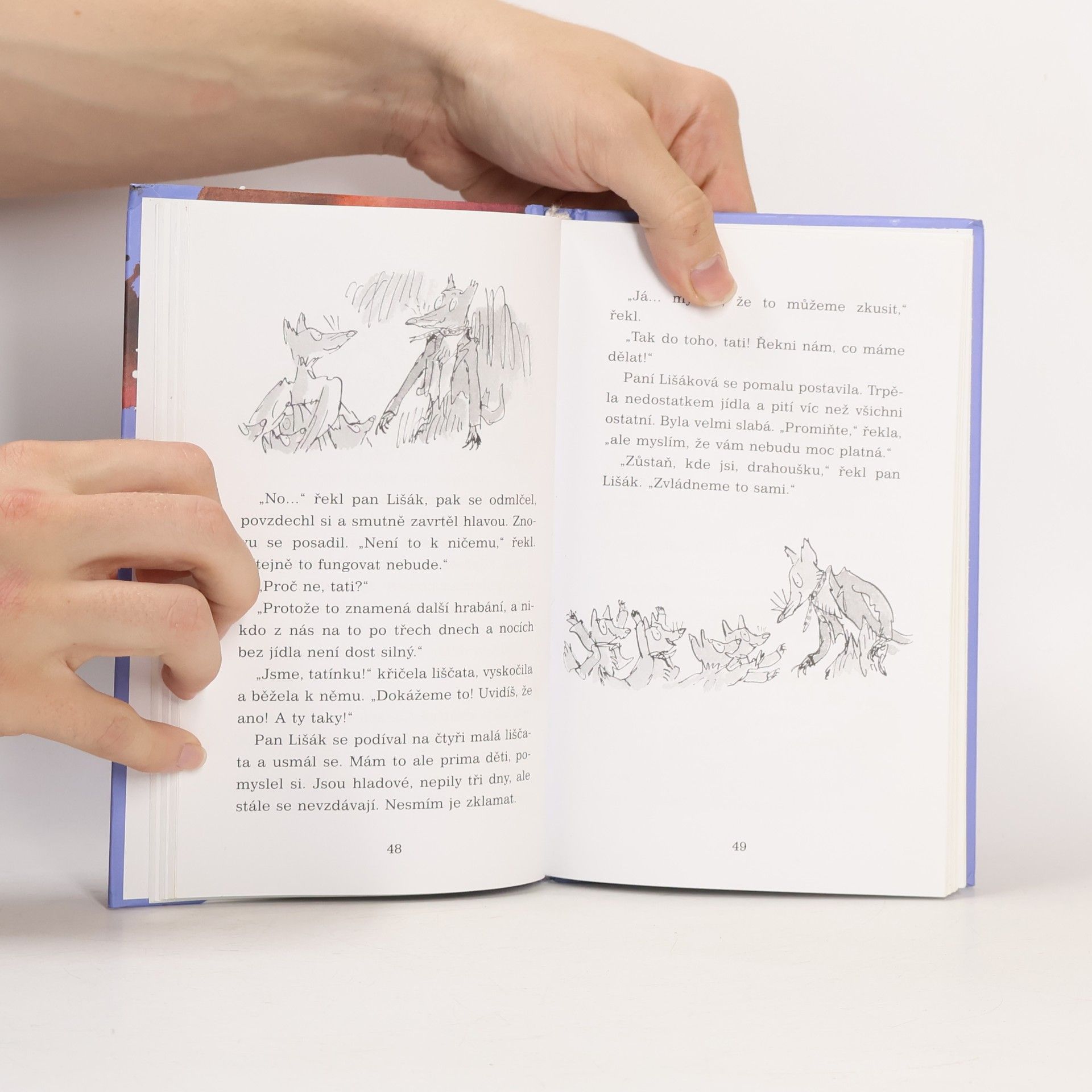 Roald Dahl Fantastický pan Lišák