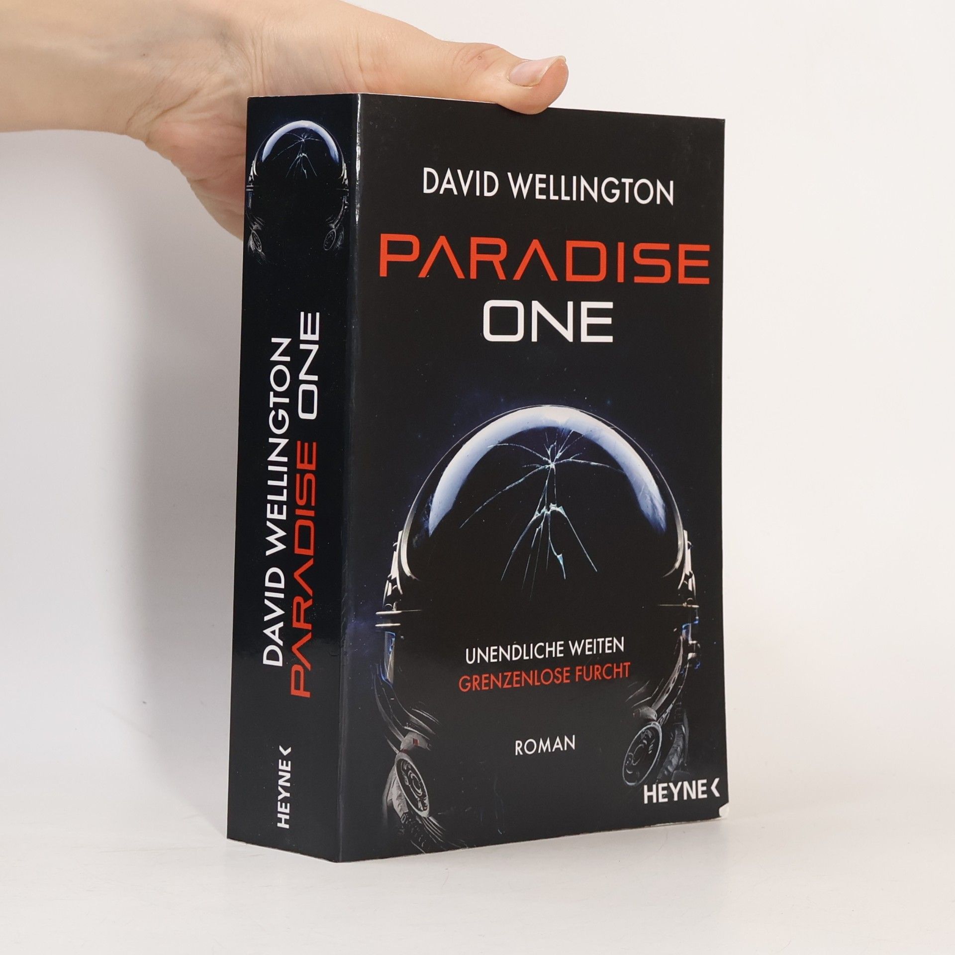 Paradise One