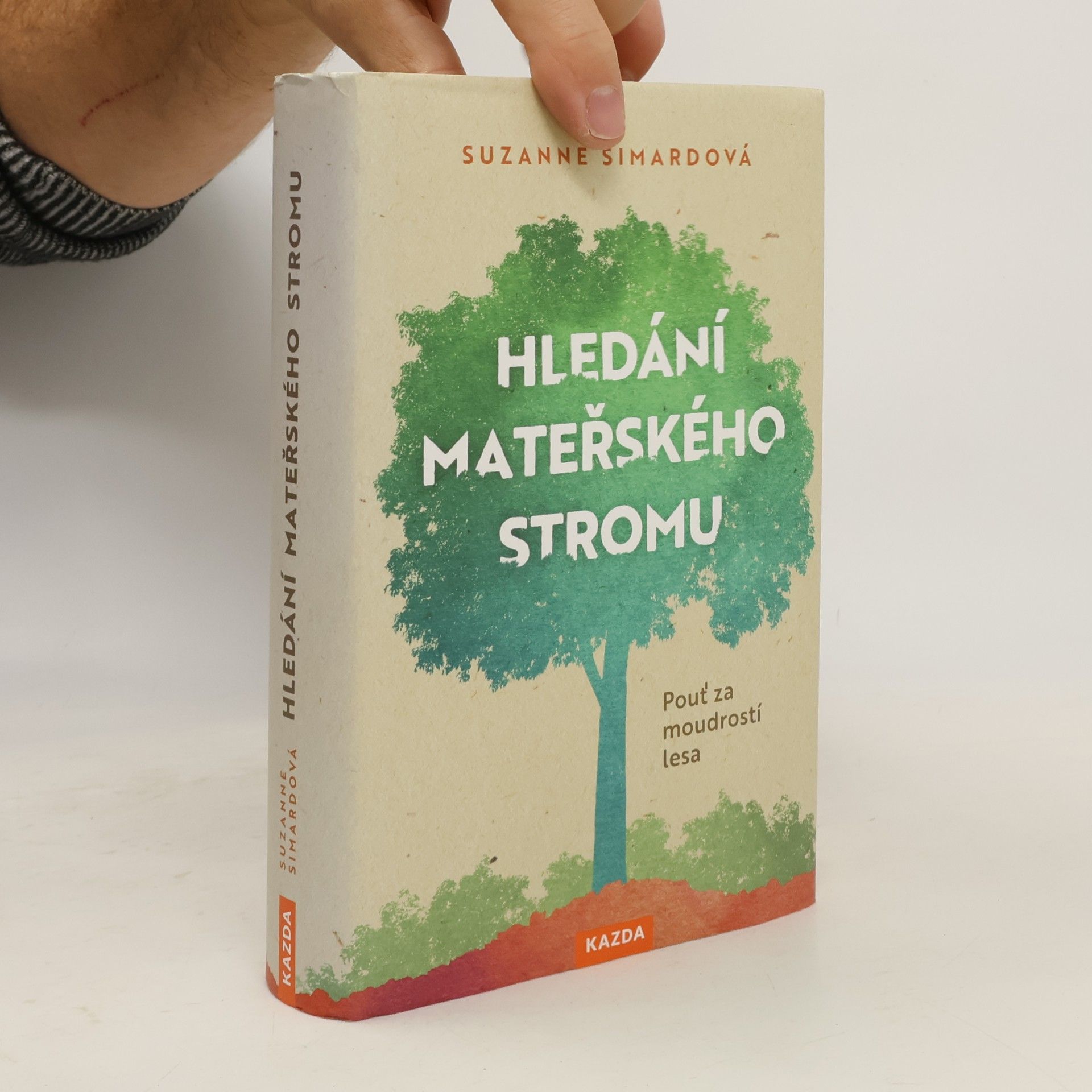 Hledání mateřského stromu