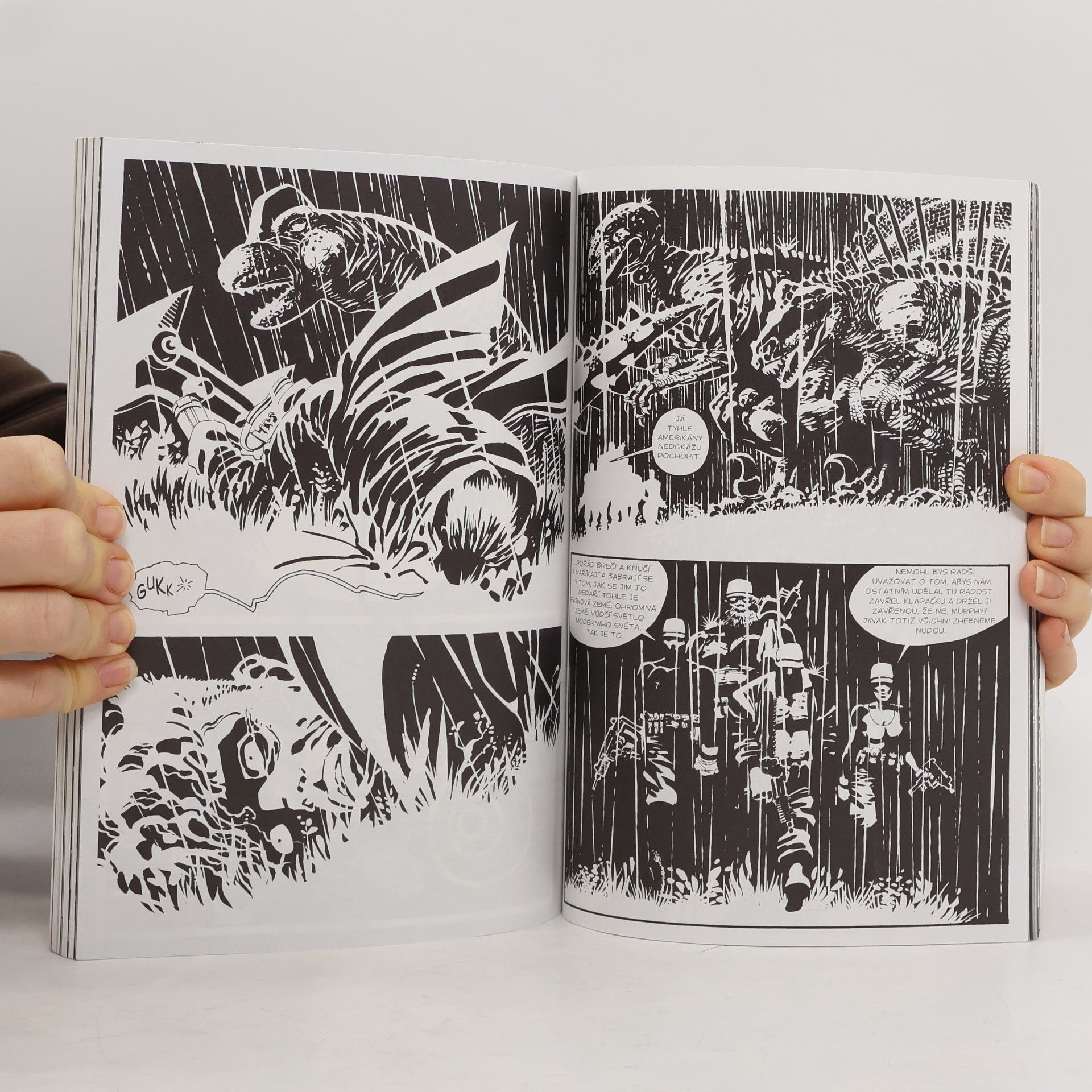 Frank Miller Velká tučná zabijačka: Příběh ze Sin City