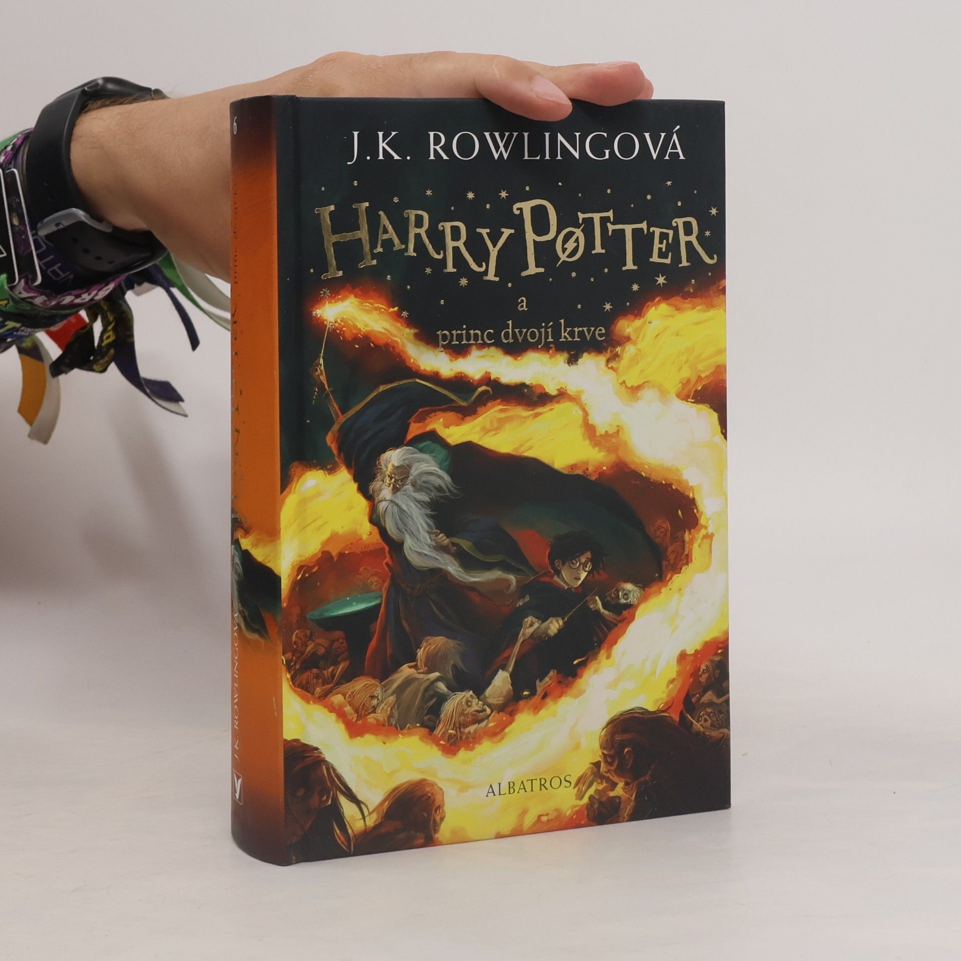 Pavel Medek Harry Potter a princ dvojí krve