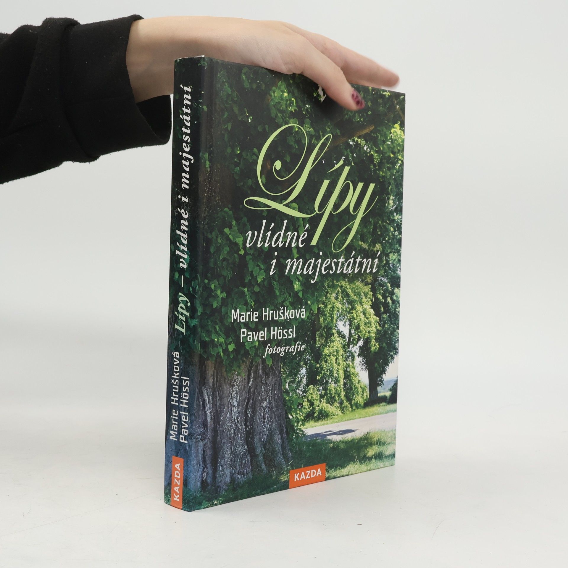 Lípy – vlídné i majestátní