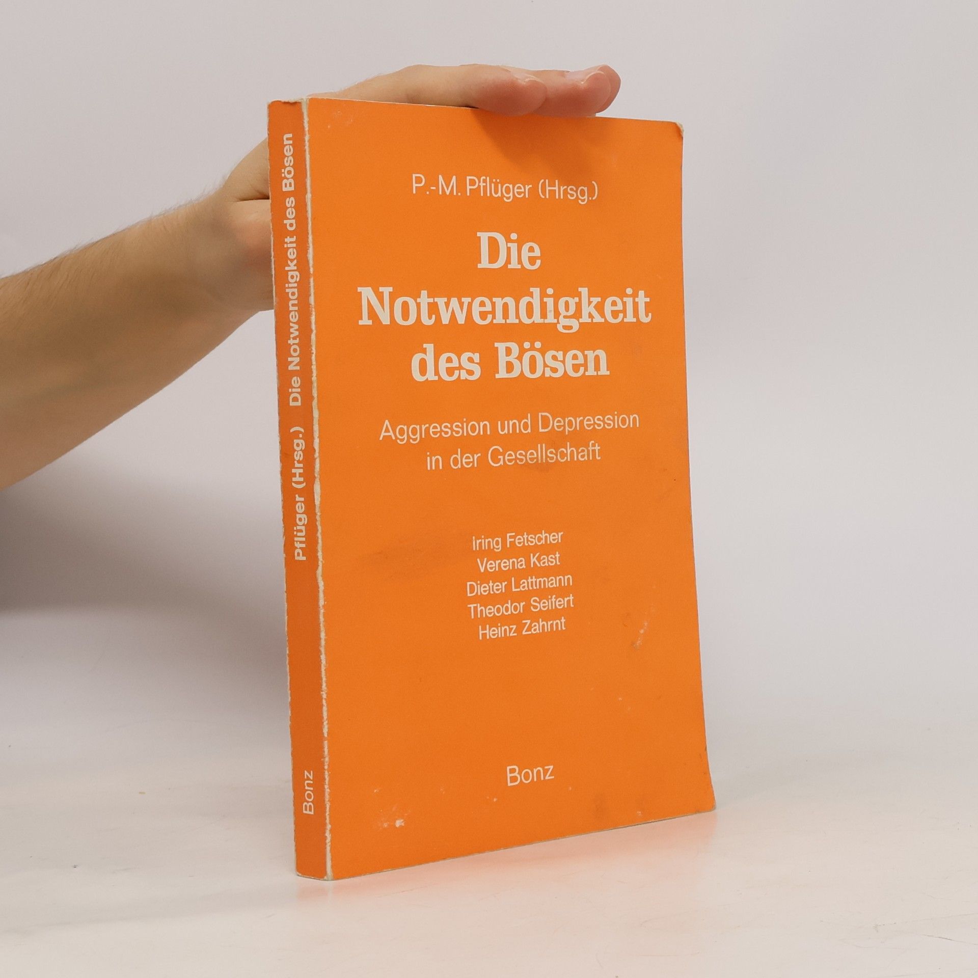 Die Notwendigkeit des Bösen