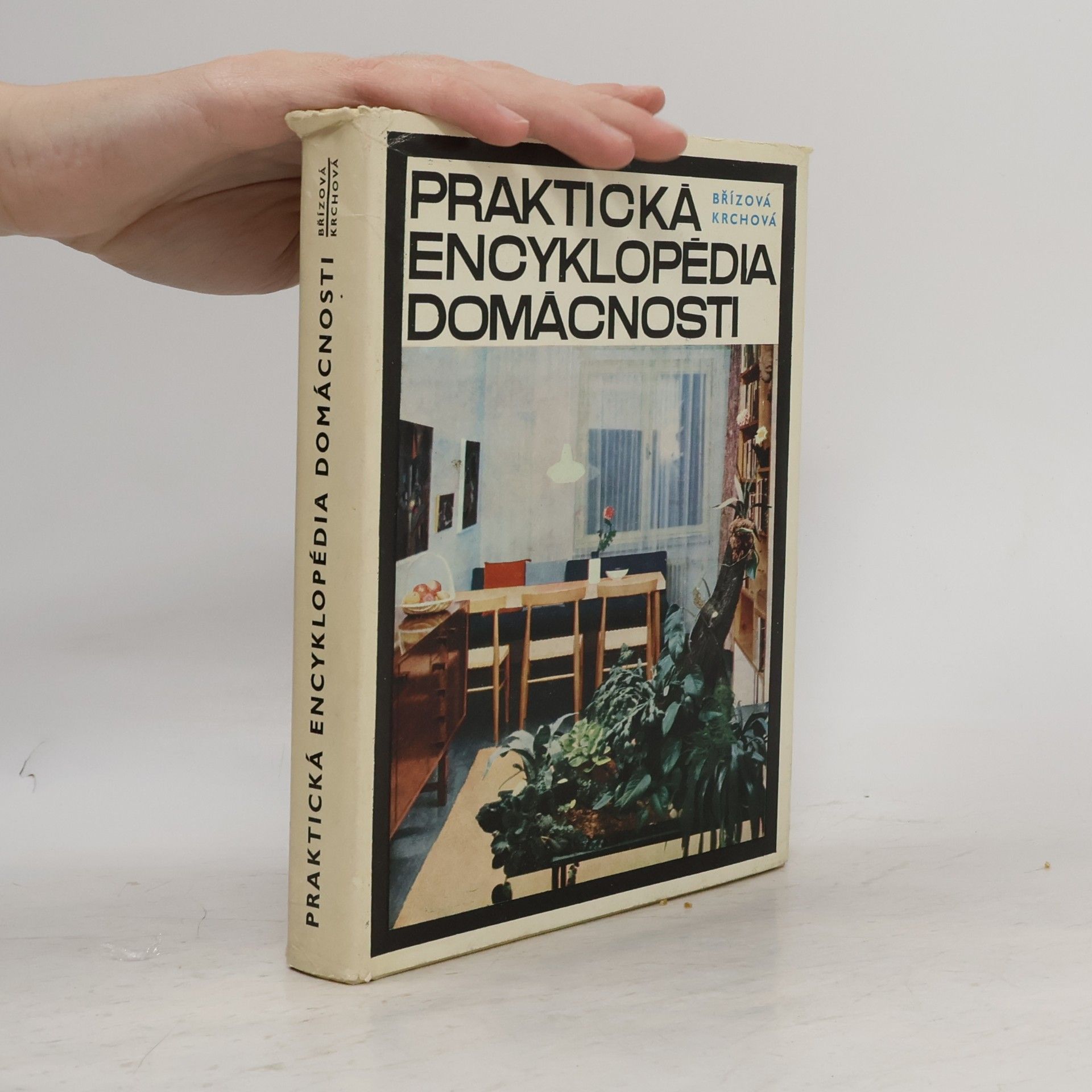 Praktická encyklopédia domácnosti