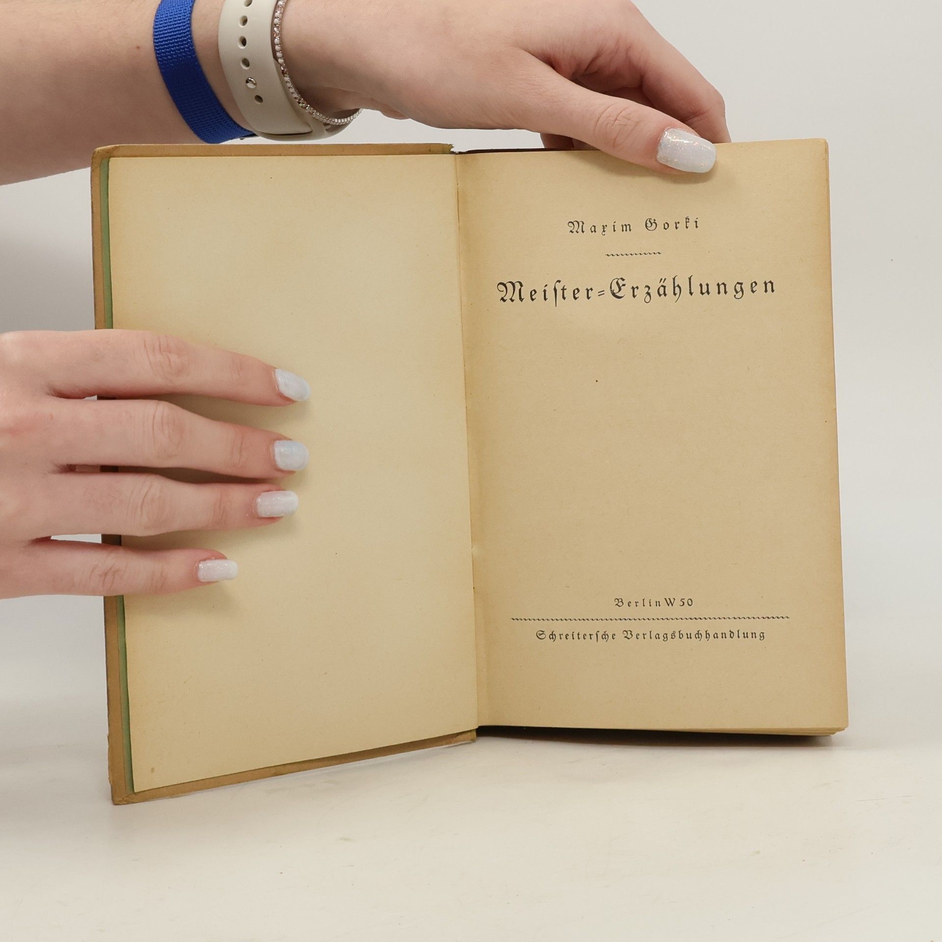 Maxim Gorkij Meistererzählungen