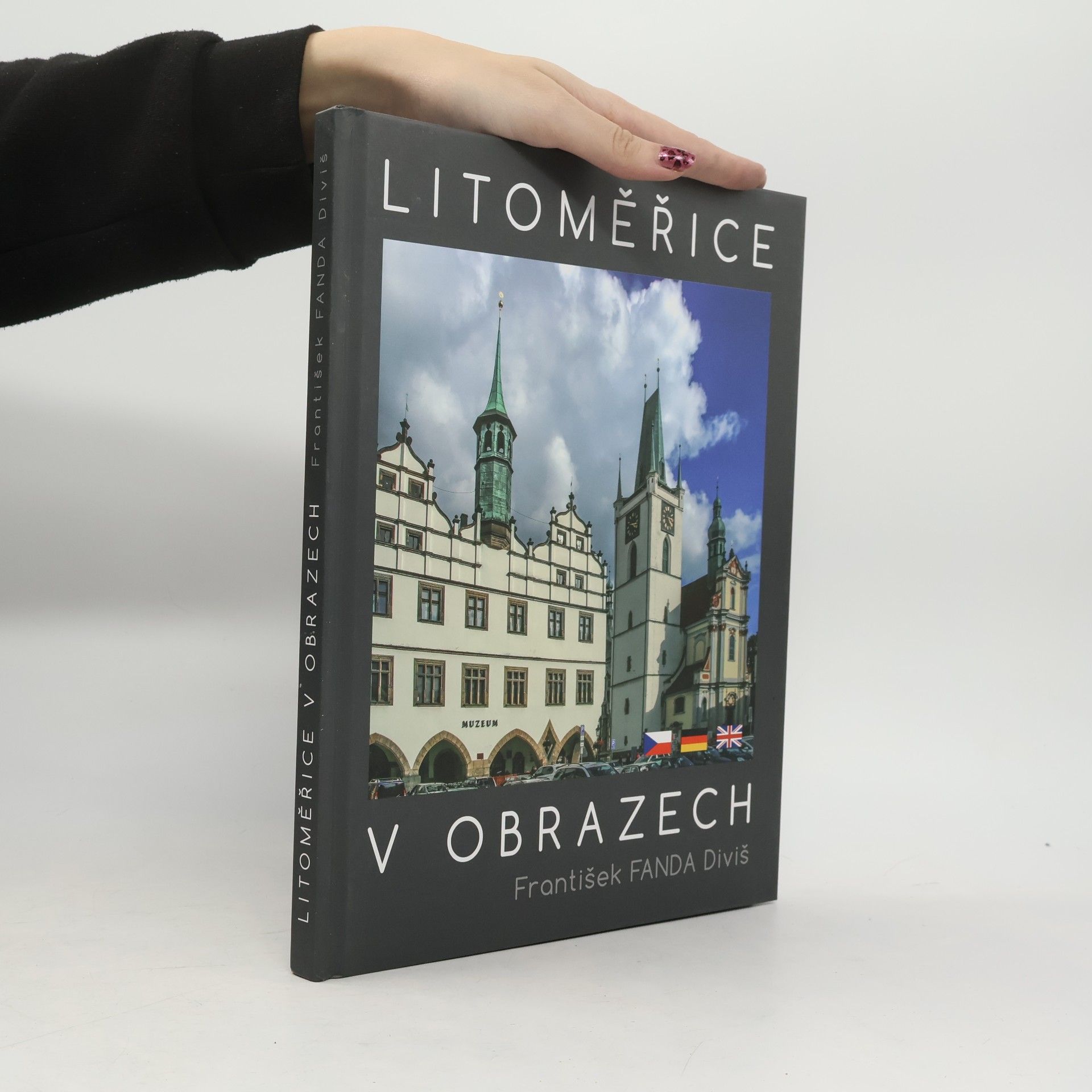 Litoměřice v obrazech