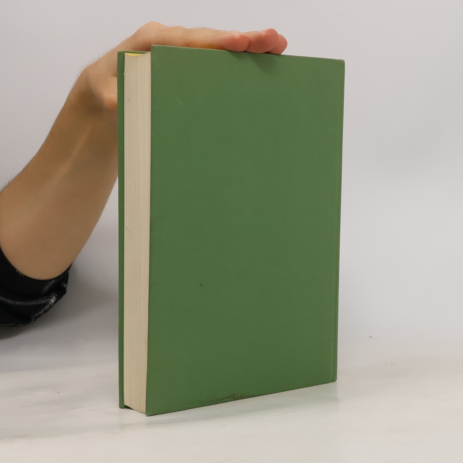 Nelly Wolffheim Psychoanalyse und Kindergarten und andere Arbeiten zur Kinderpsychologie.