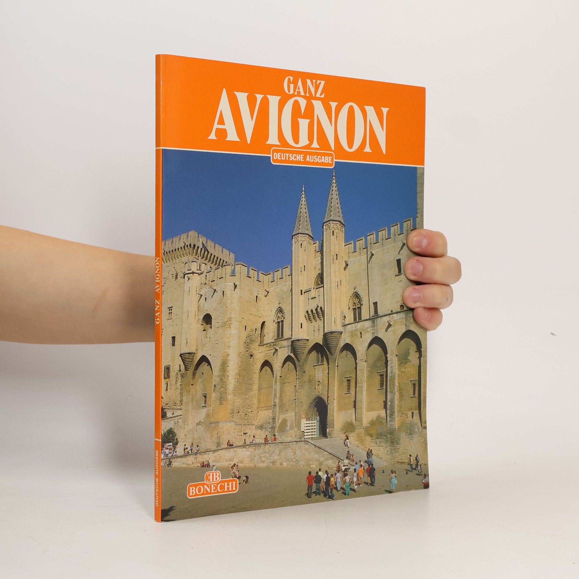 Ganz Avignon