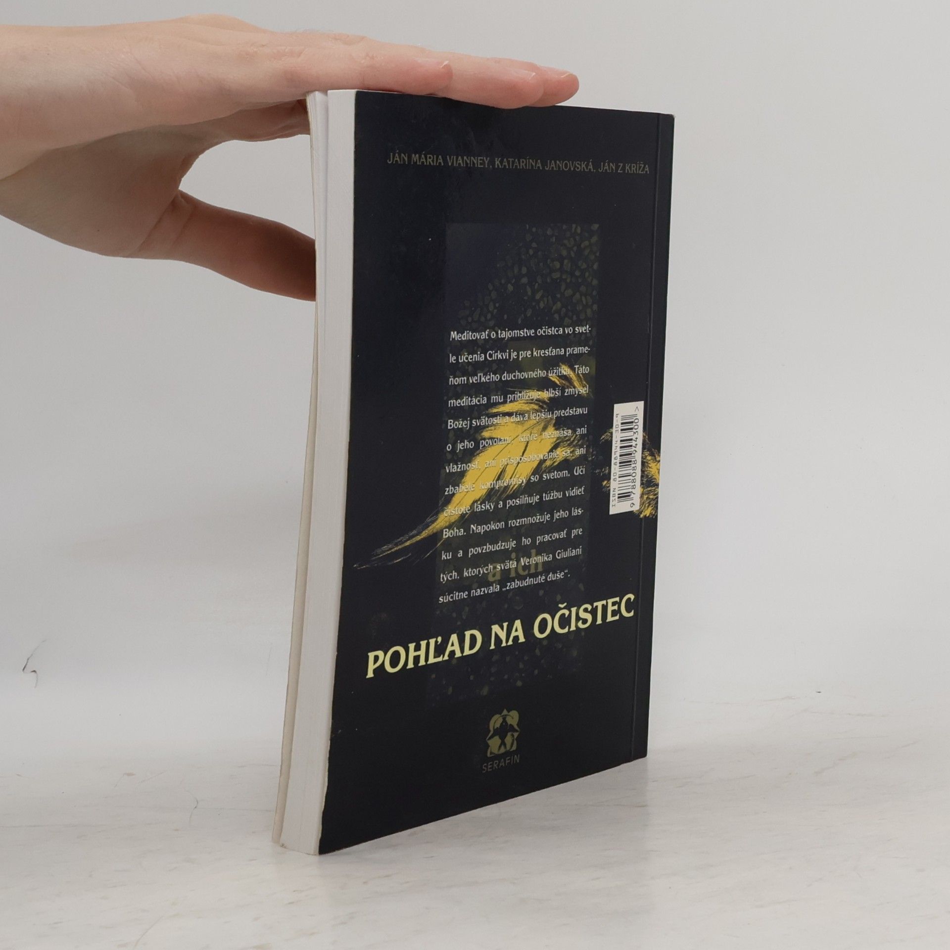 Jean Baptiste Marie Vianney Pohľad na očistec