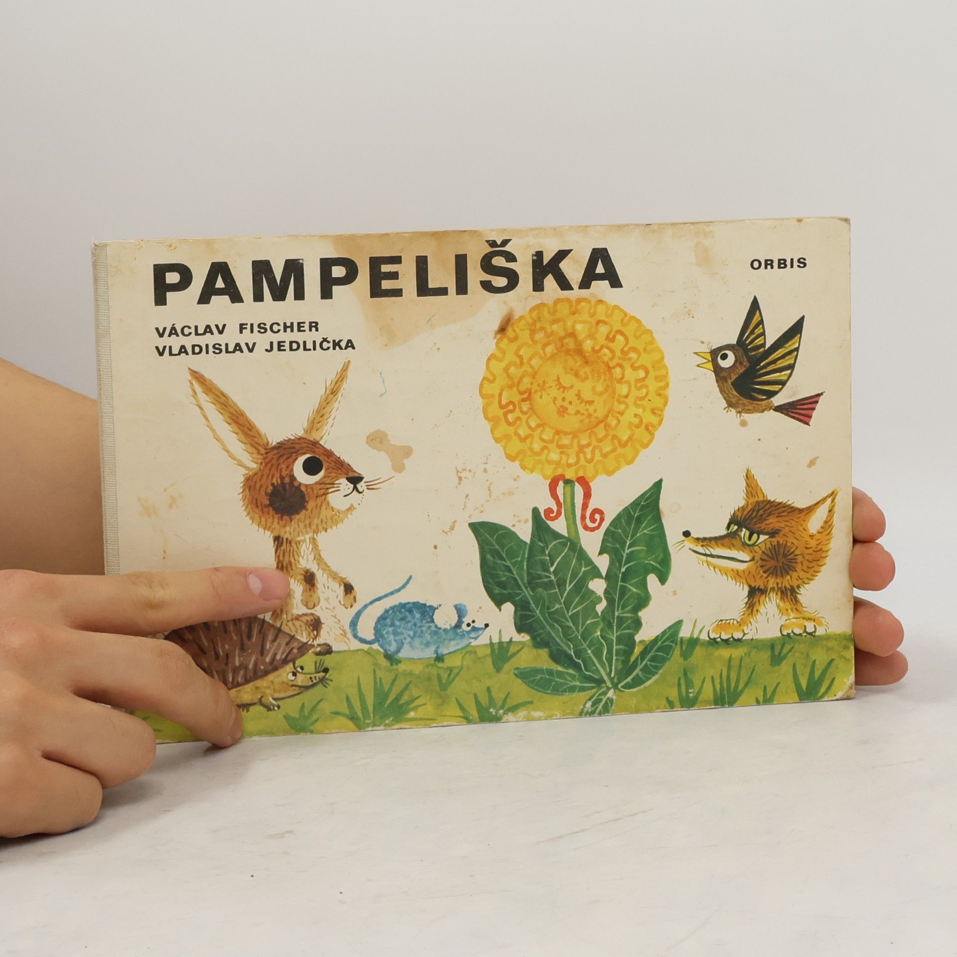 Václav Fischer Pampeliška