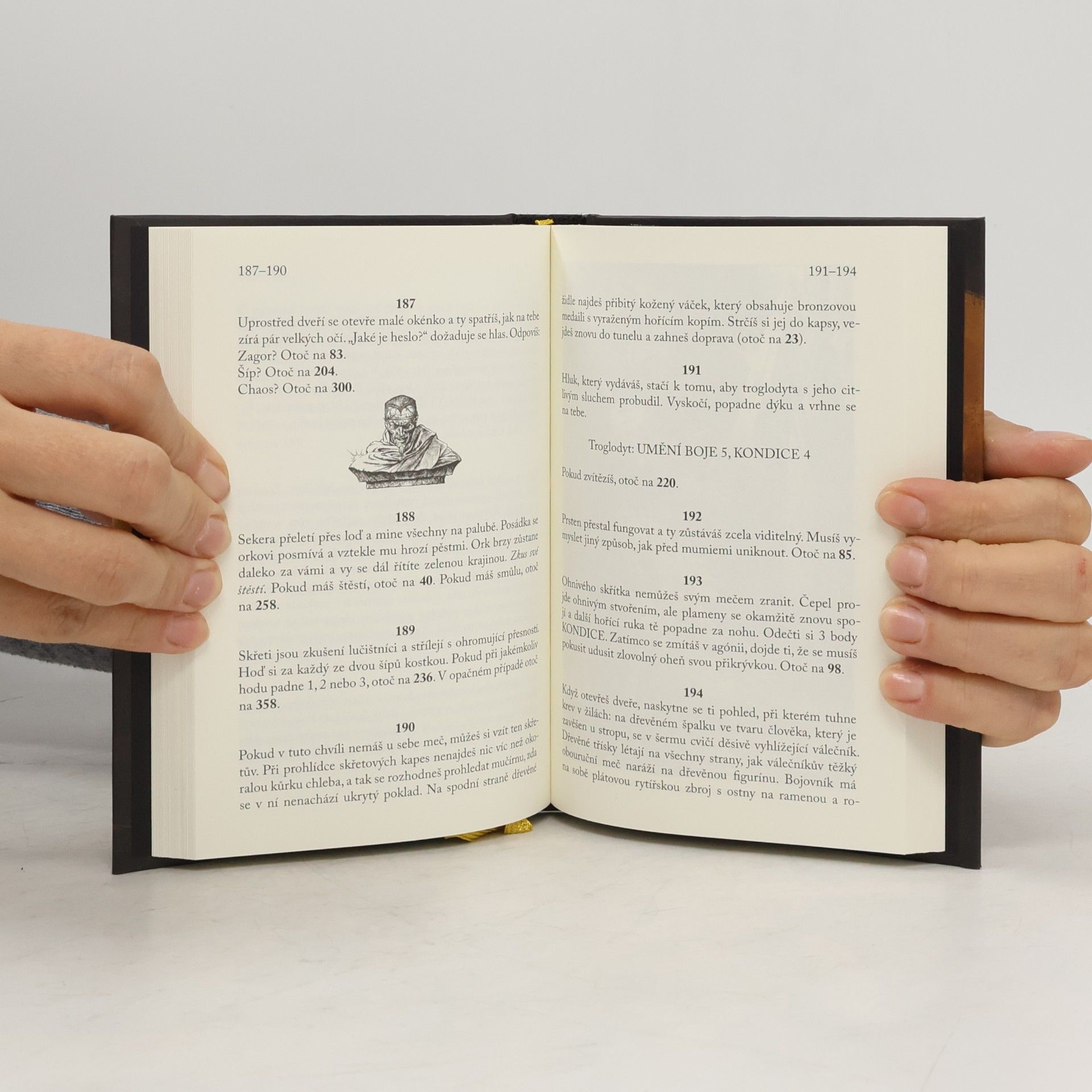 Auteurscollectief Návrat do Ohňové hory (gamebook)