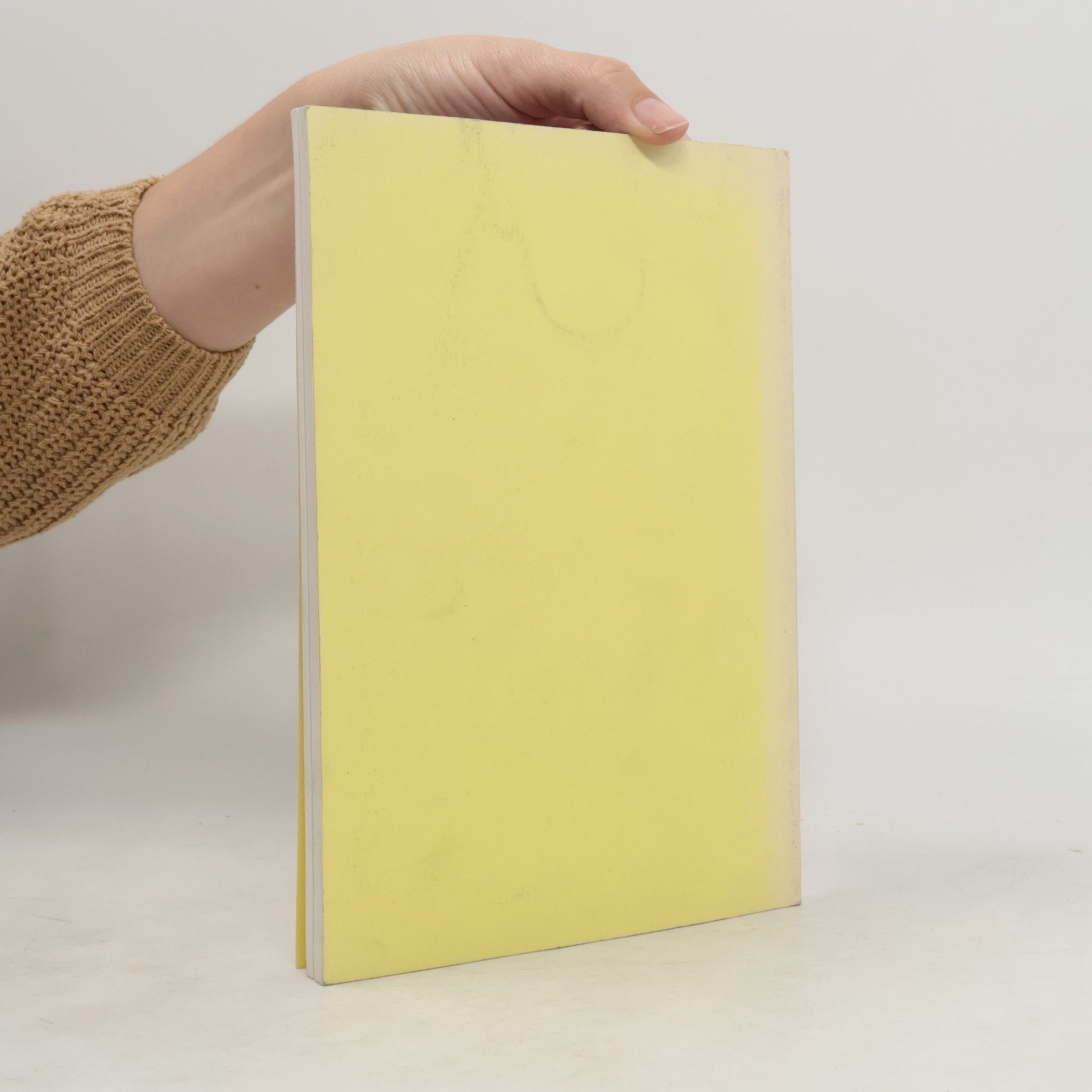 Autorenkollektiv Ici Langres pas le temps d'écrire