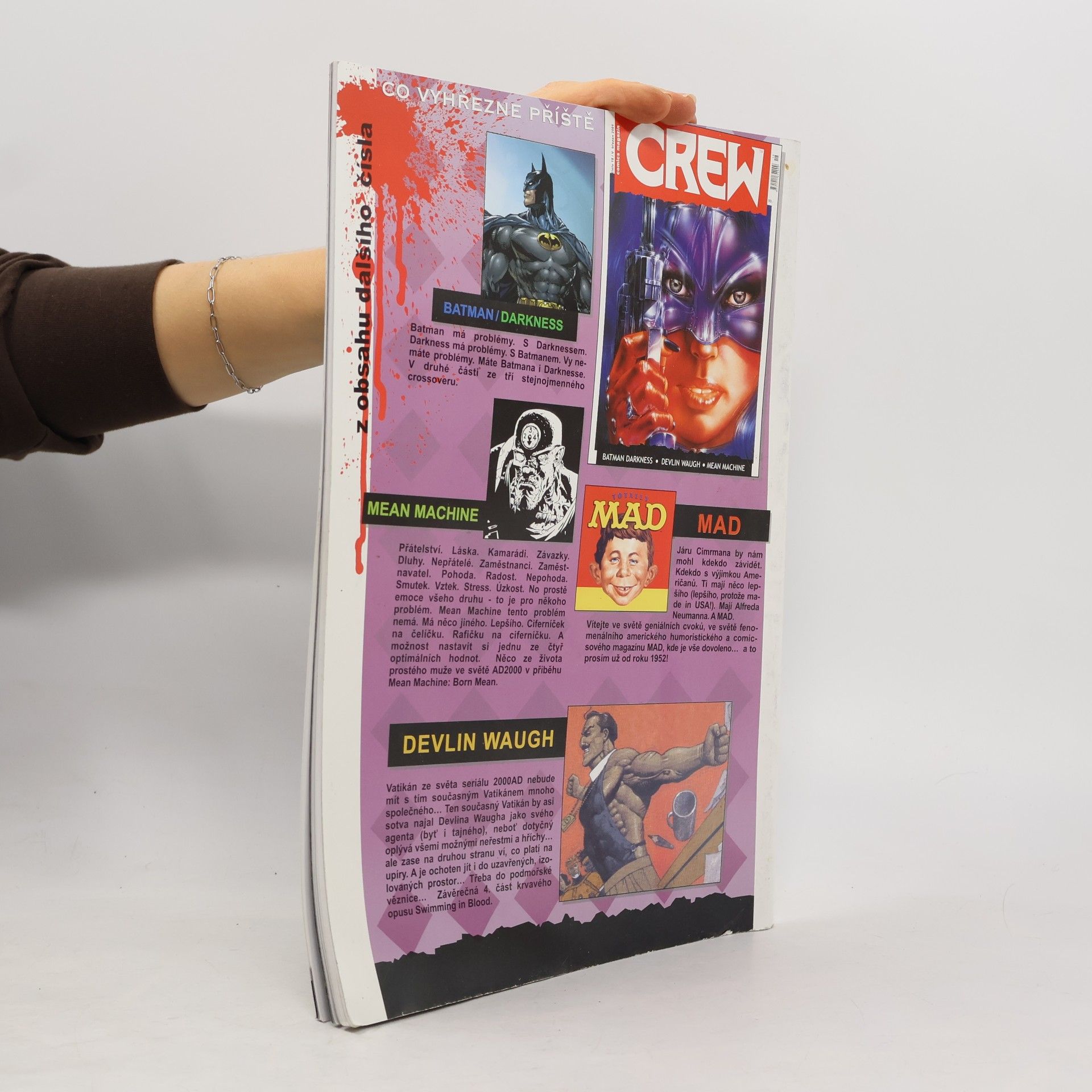 Kolektiv autorů Crew comics magazín (číso 17/V leden 2001)
