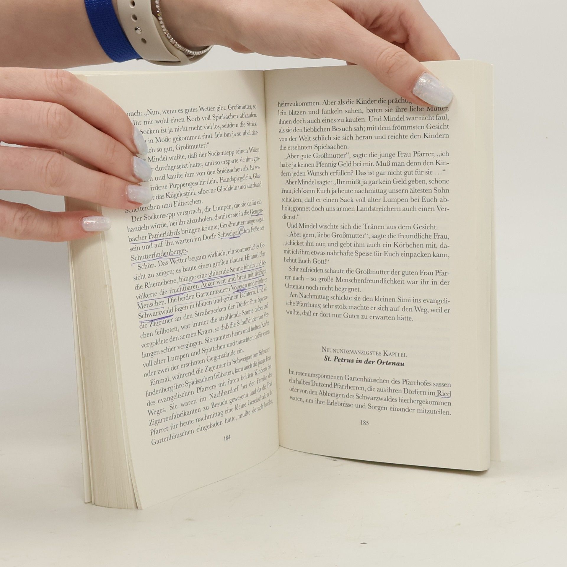 Elisabeth Walter Abenteuerliche Reise des kleinen Schmiedledick mit den Zigeunern