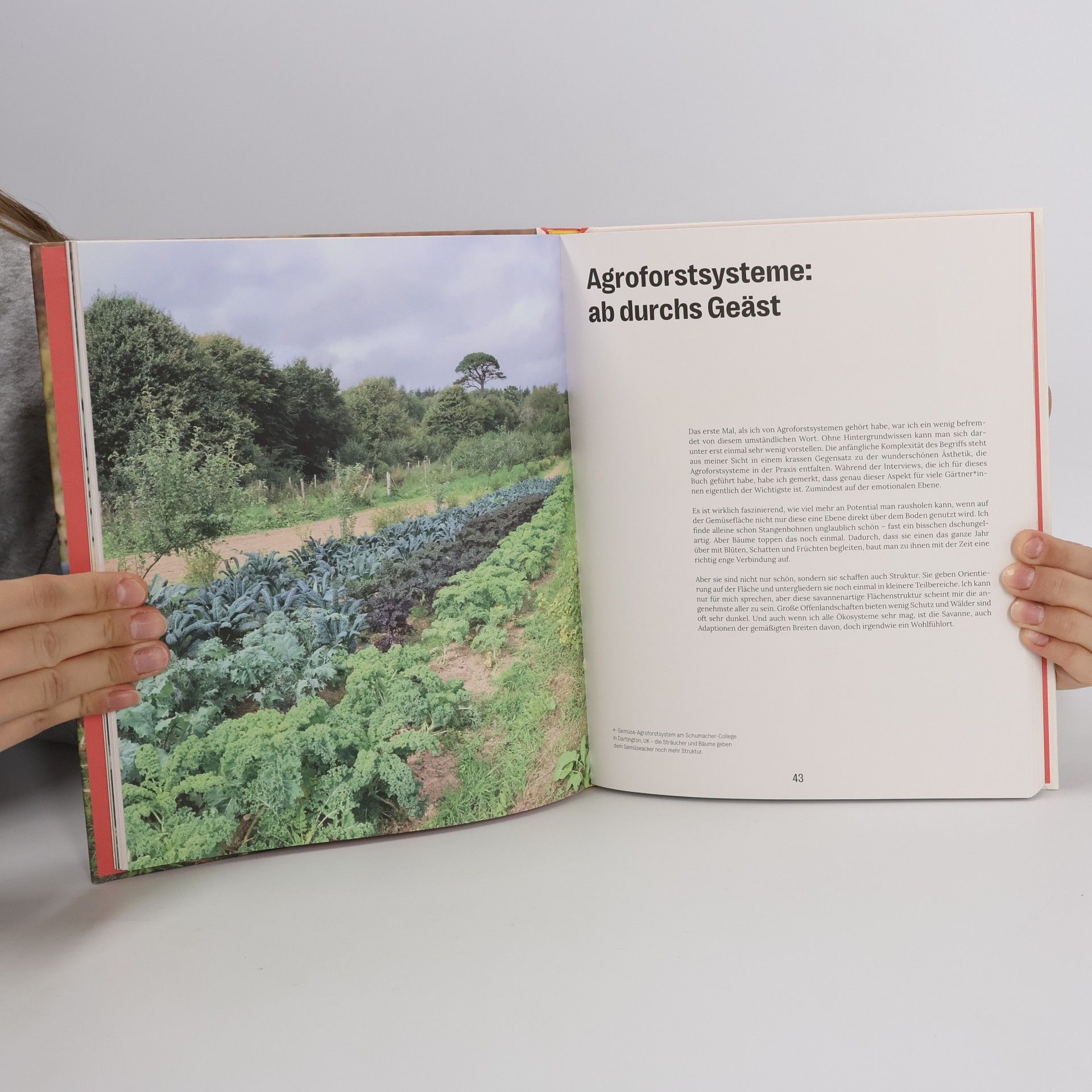 Leon Schleep Market Gardening & Agroforst