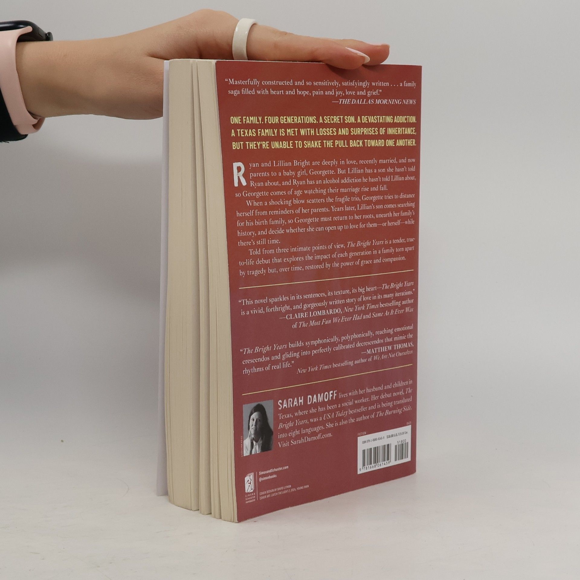 Sarah Damoff The Bright Years: A Novel