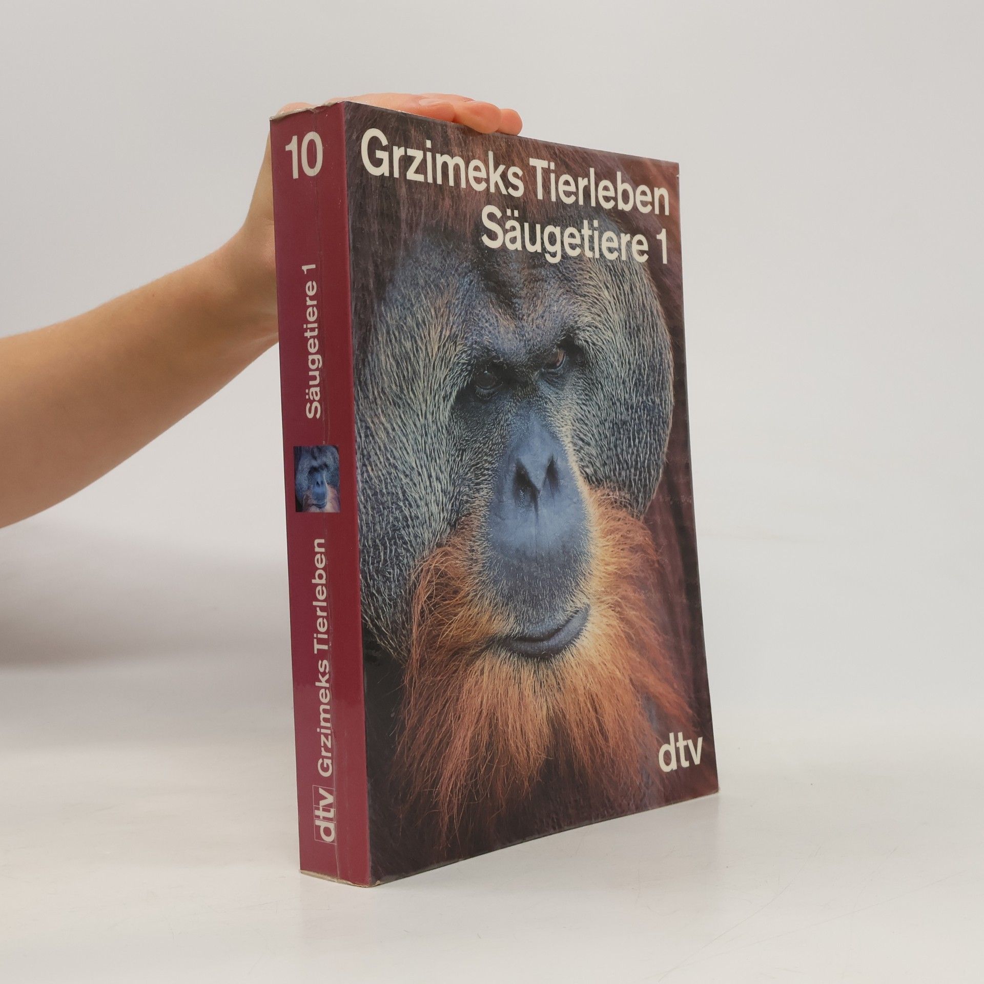 Grzimeks Tierleben 10. Säugetiere 1