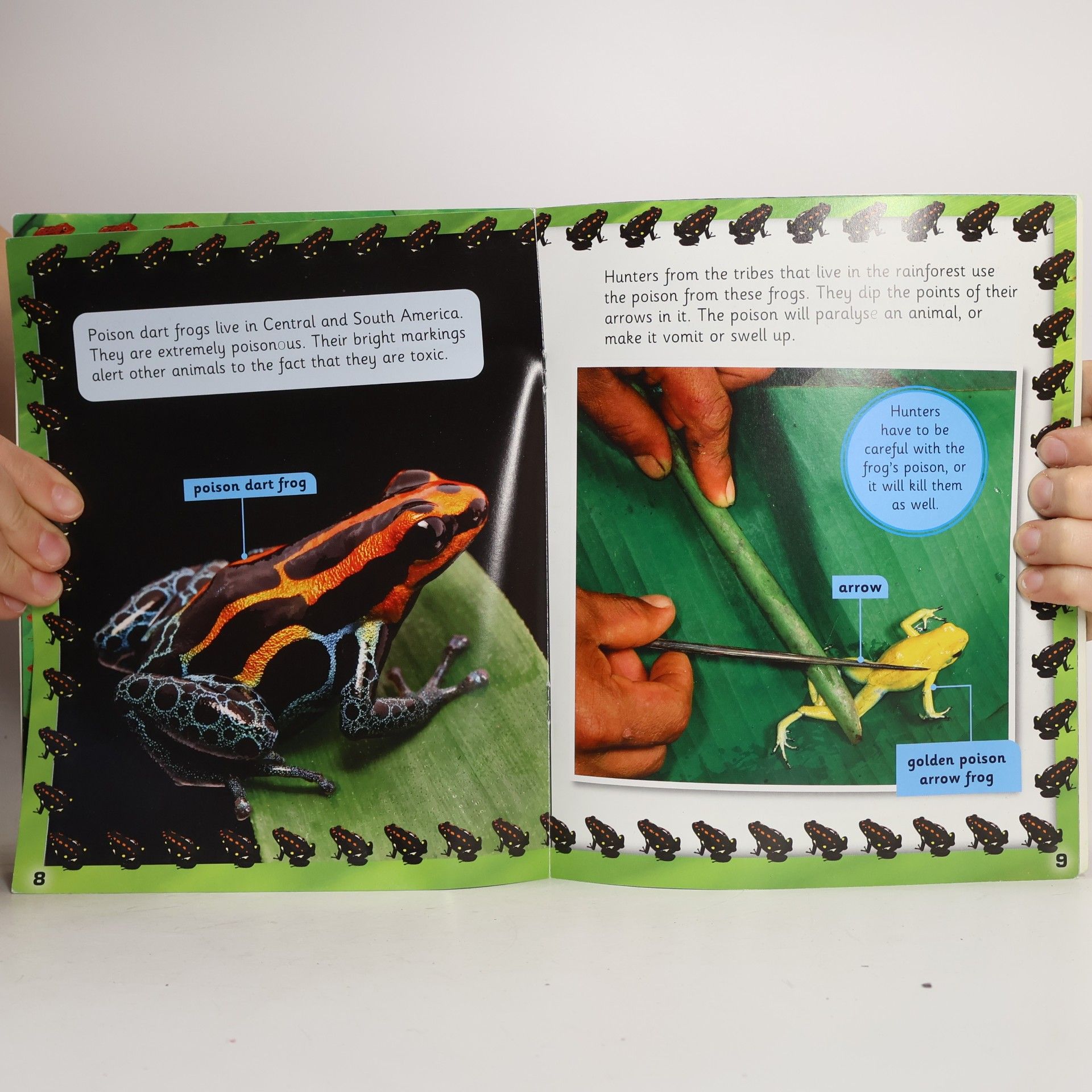 Louise Van-Pottelsberghe Jolly Phonics: Fantastic Frogs and Toads