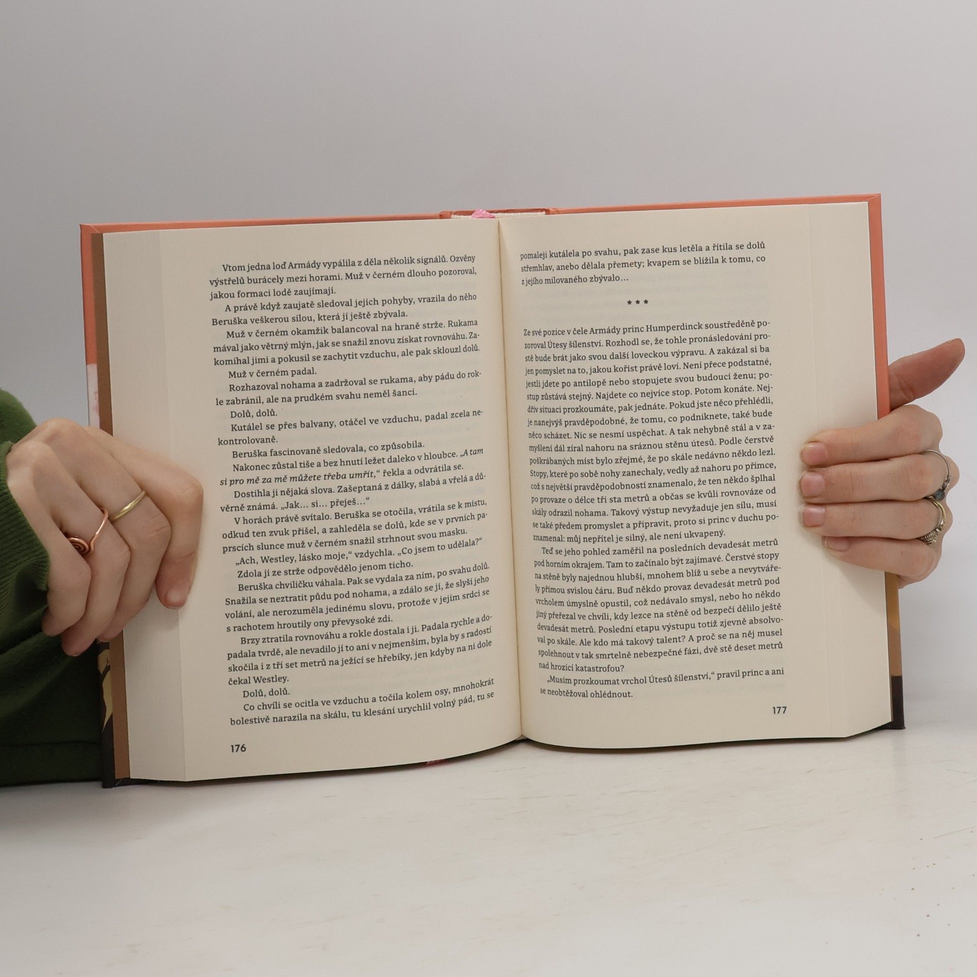 William Goldman Princezna nevěsta