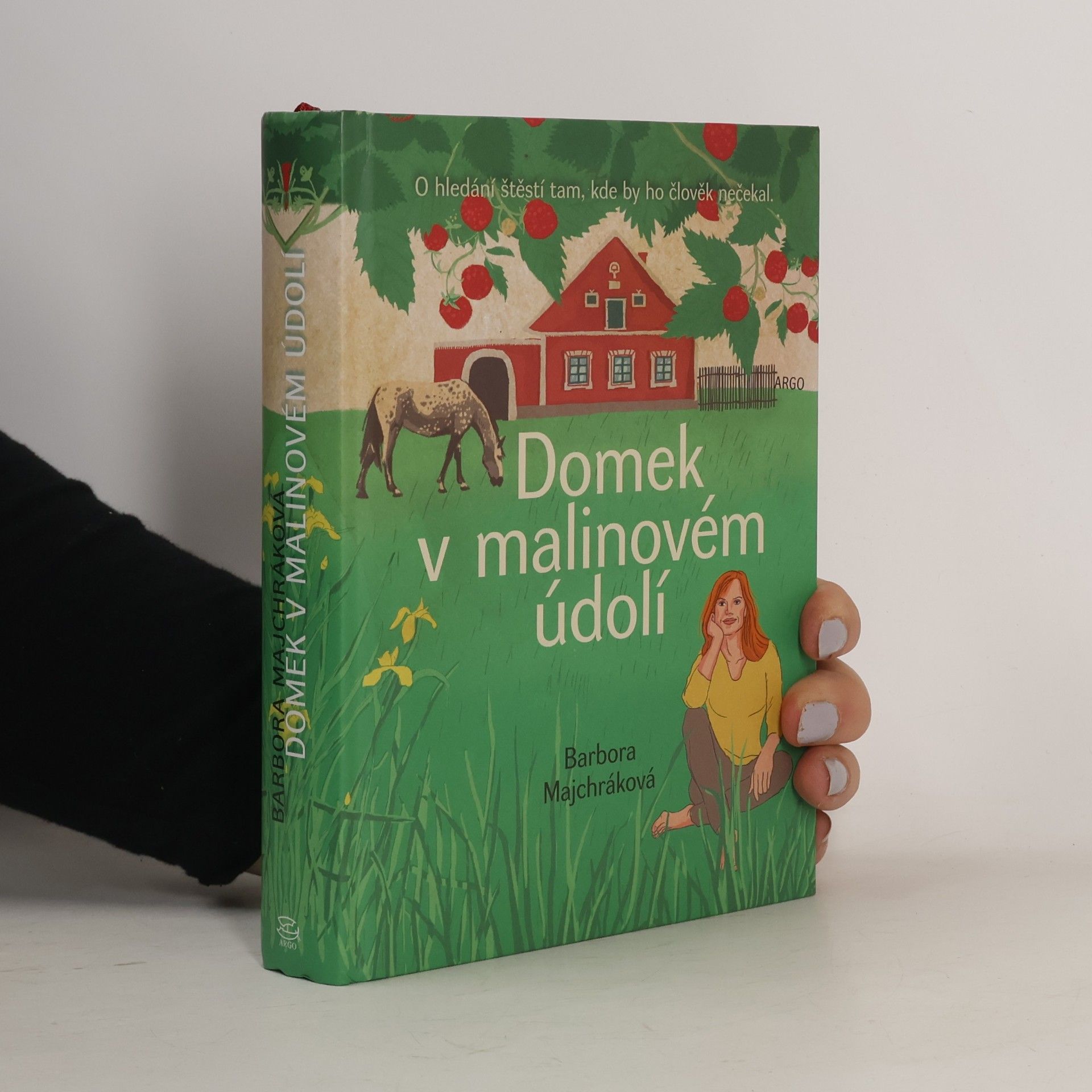 Domek v malinovém údolí
