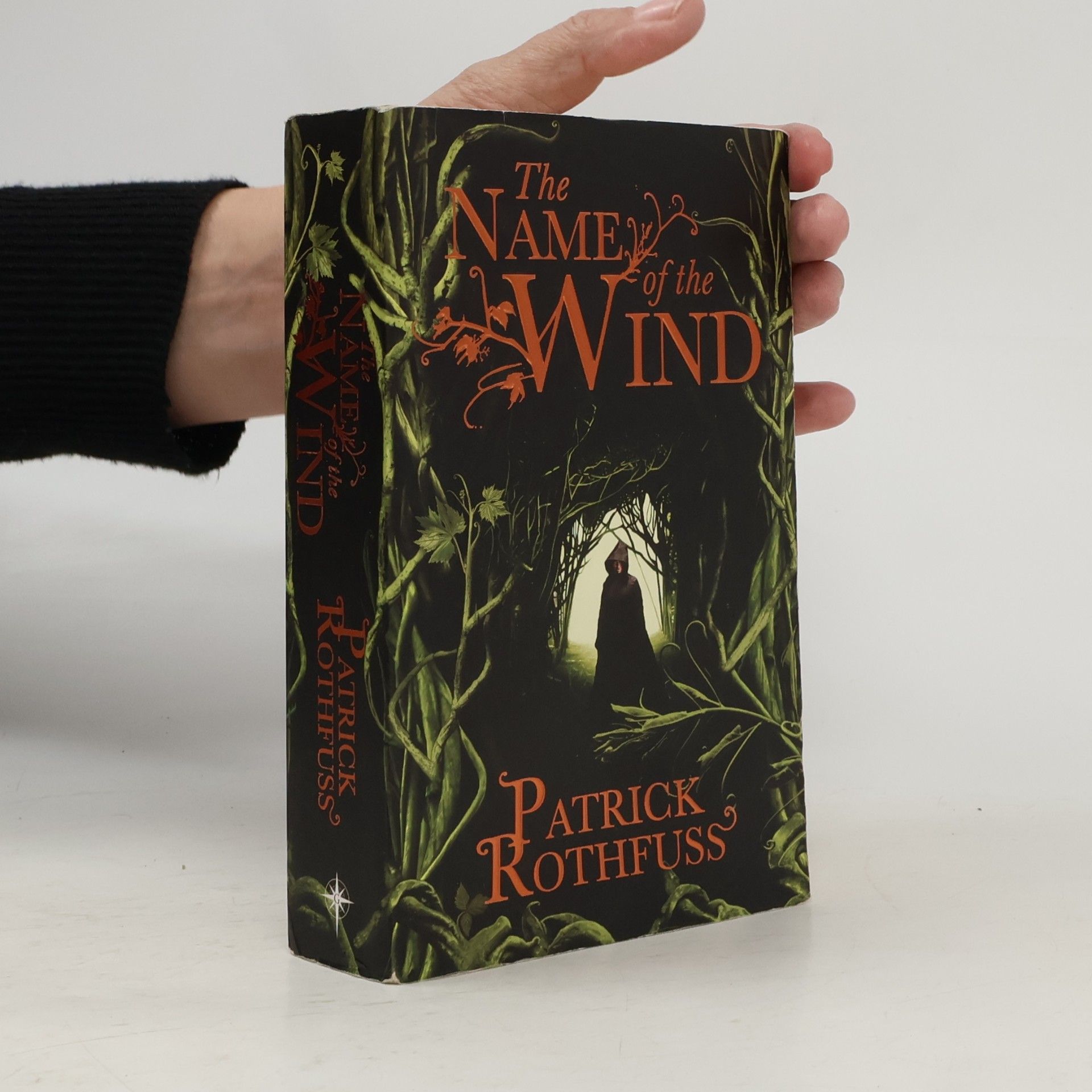 The Name of the Wind