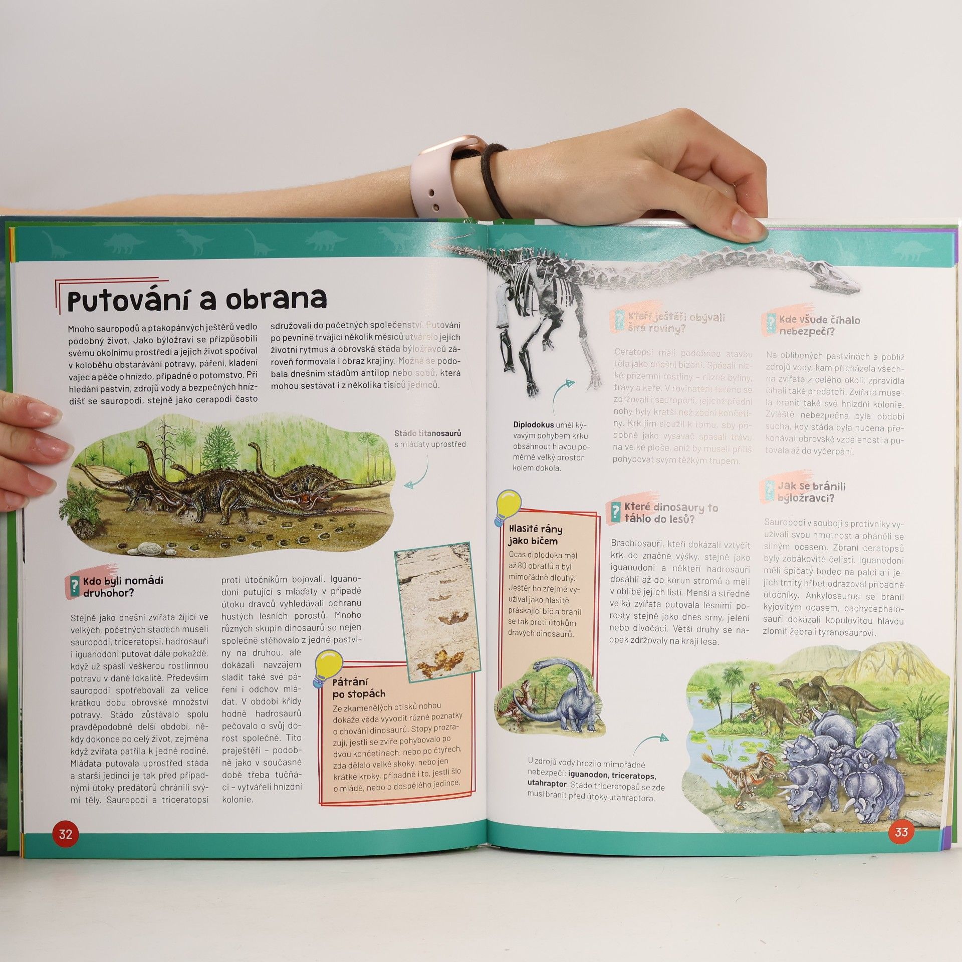 Kolektiv autorů Víme to! - Dinosauři