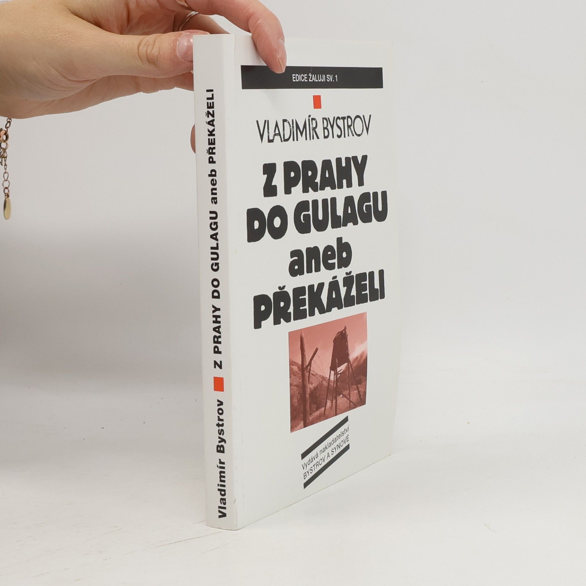 Vladimír Bystrov Z Prahy do gulagu aneb překáželi