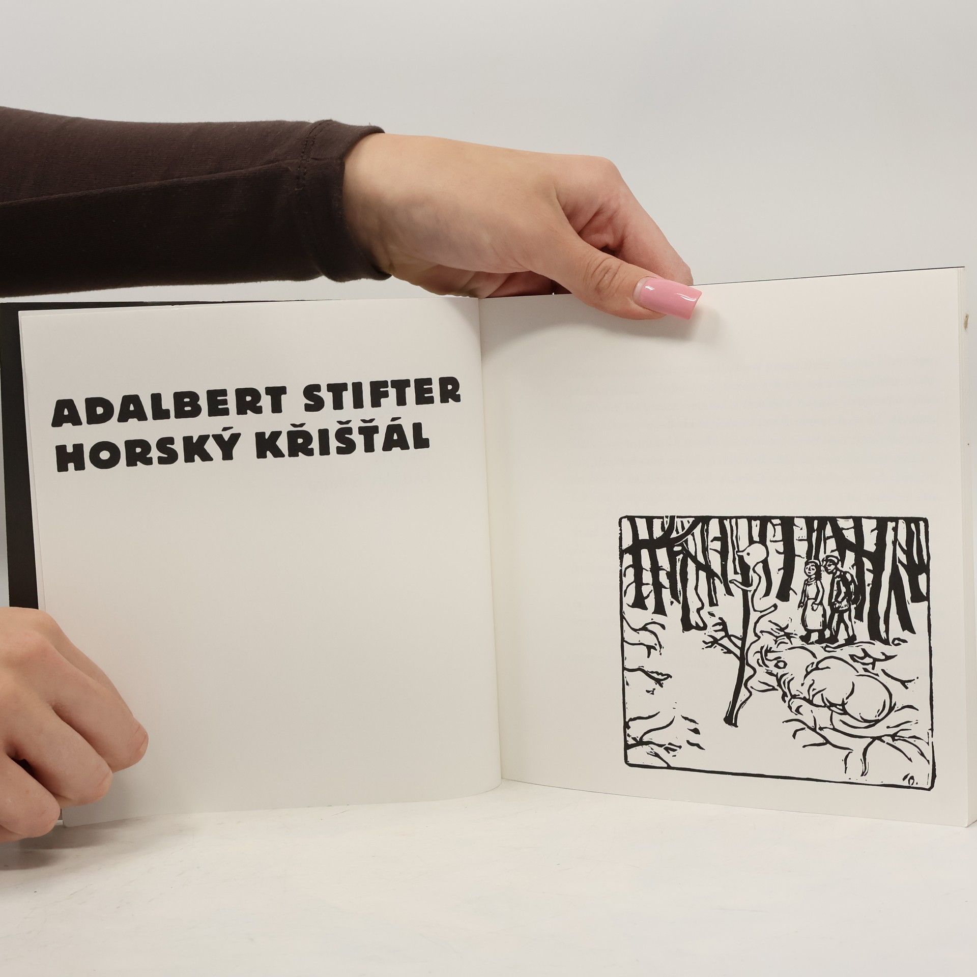 Adalbert Stifter Horský křišťál