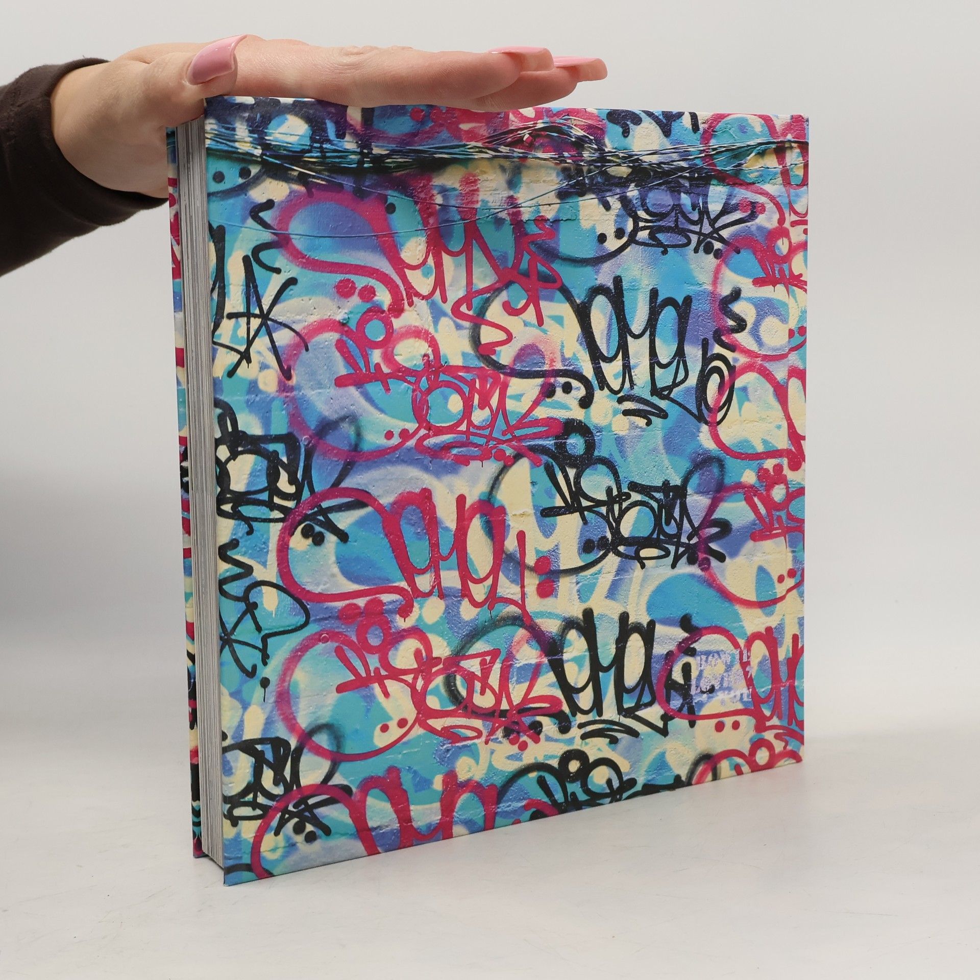 Rafael Schacter The World Atlas of Street Art and Graffiti