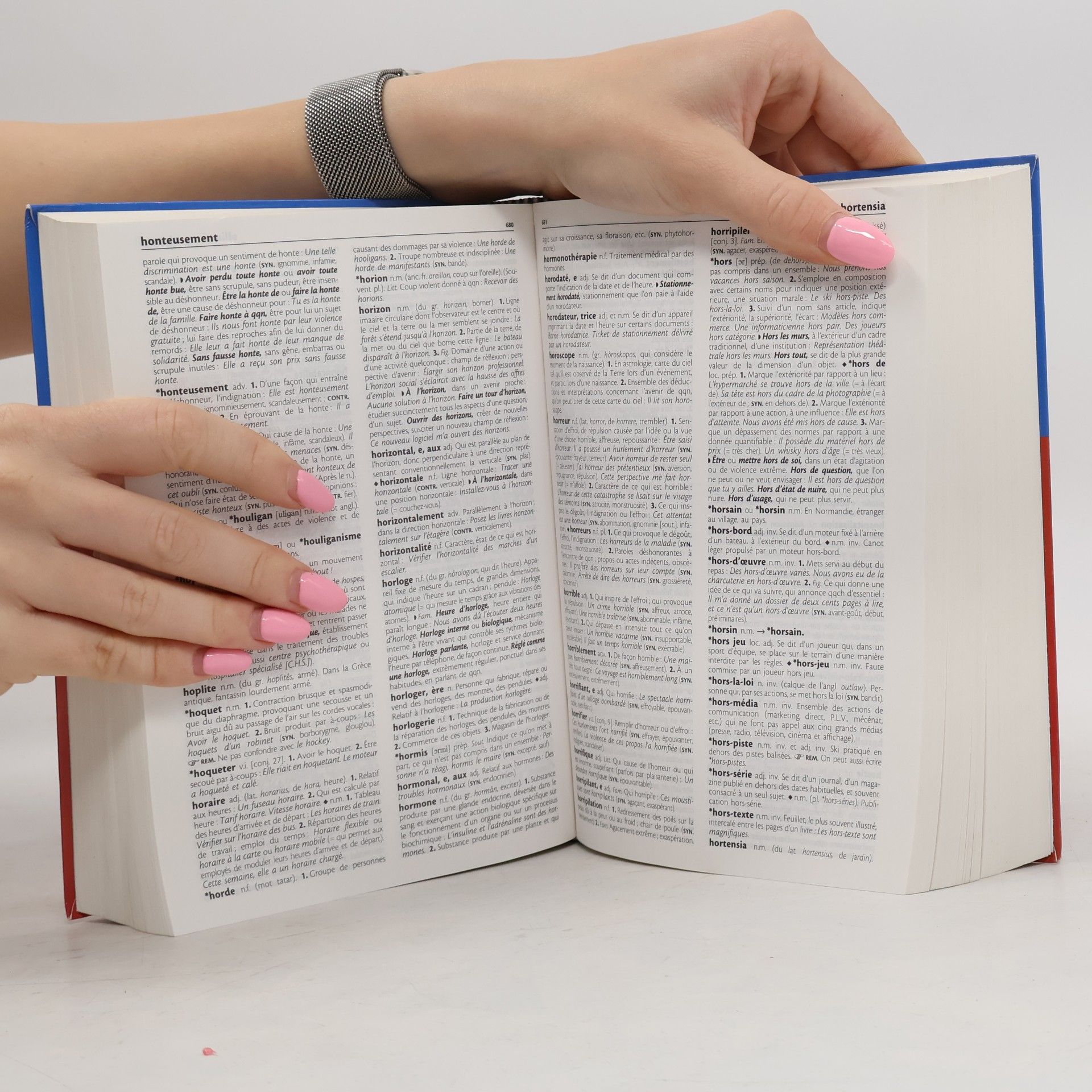 Autorenkollektiv Larousse, Dictionnaire de français , Compact