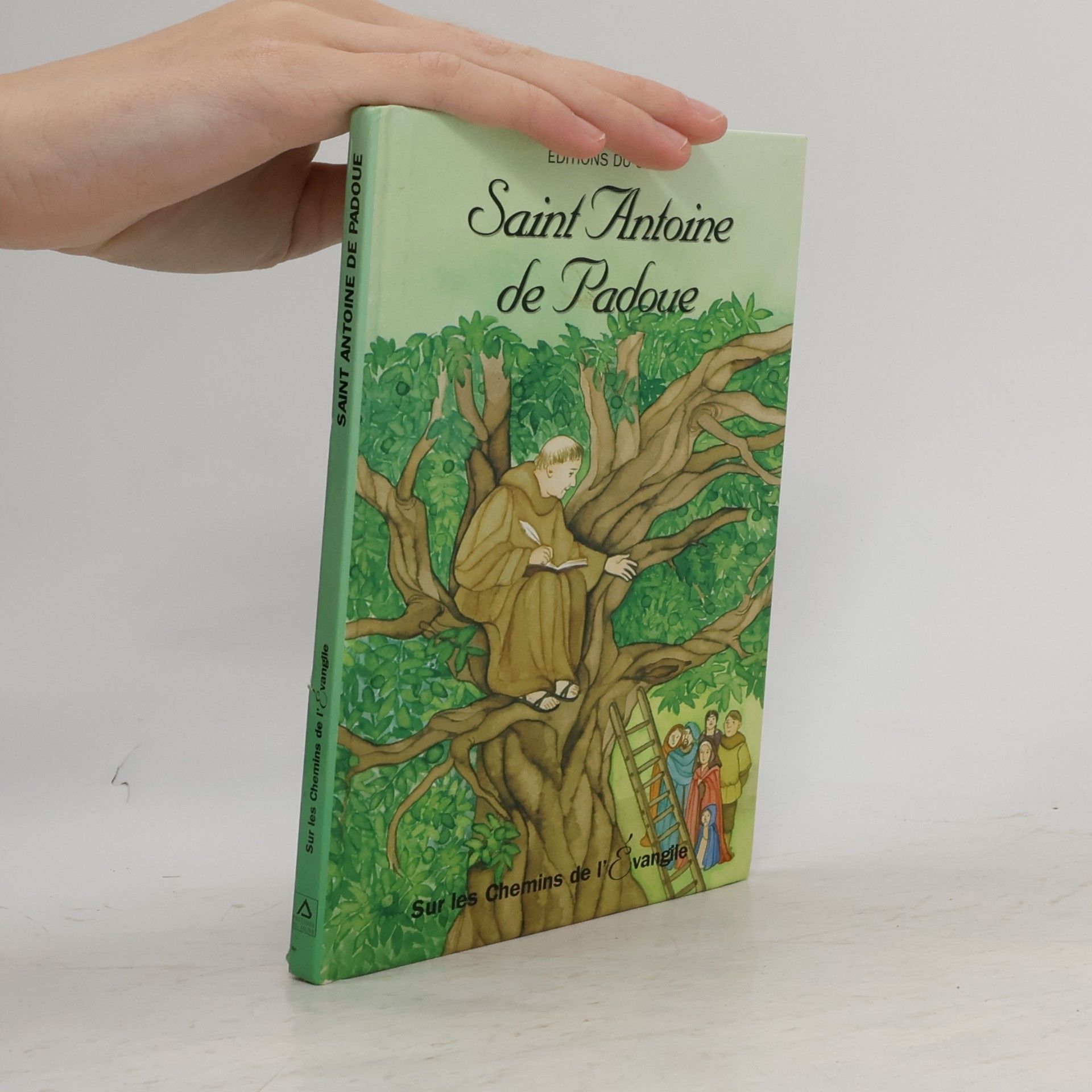 Augusta Curelli Saint Antoine de Padoue