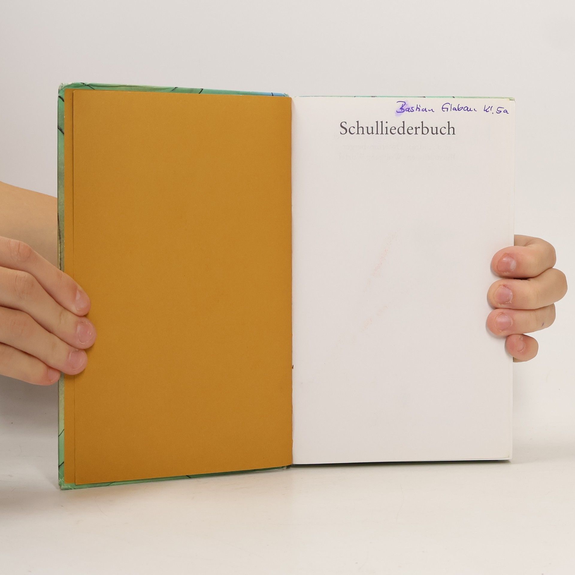 Autorenkollektiv Liederbuch für den Musikunterricht an allgemeinbildenden Schulen