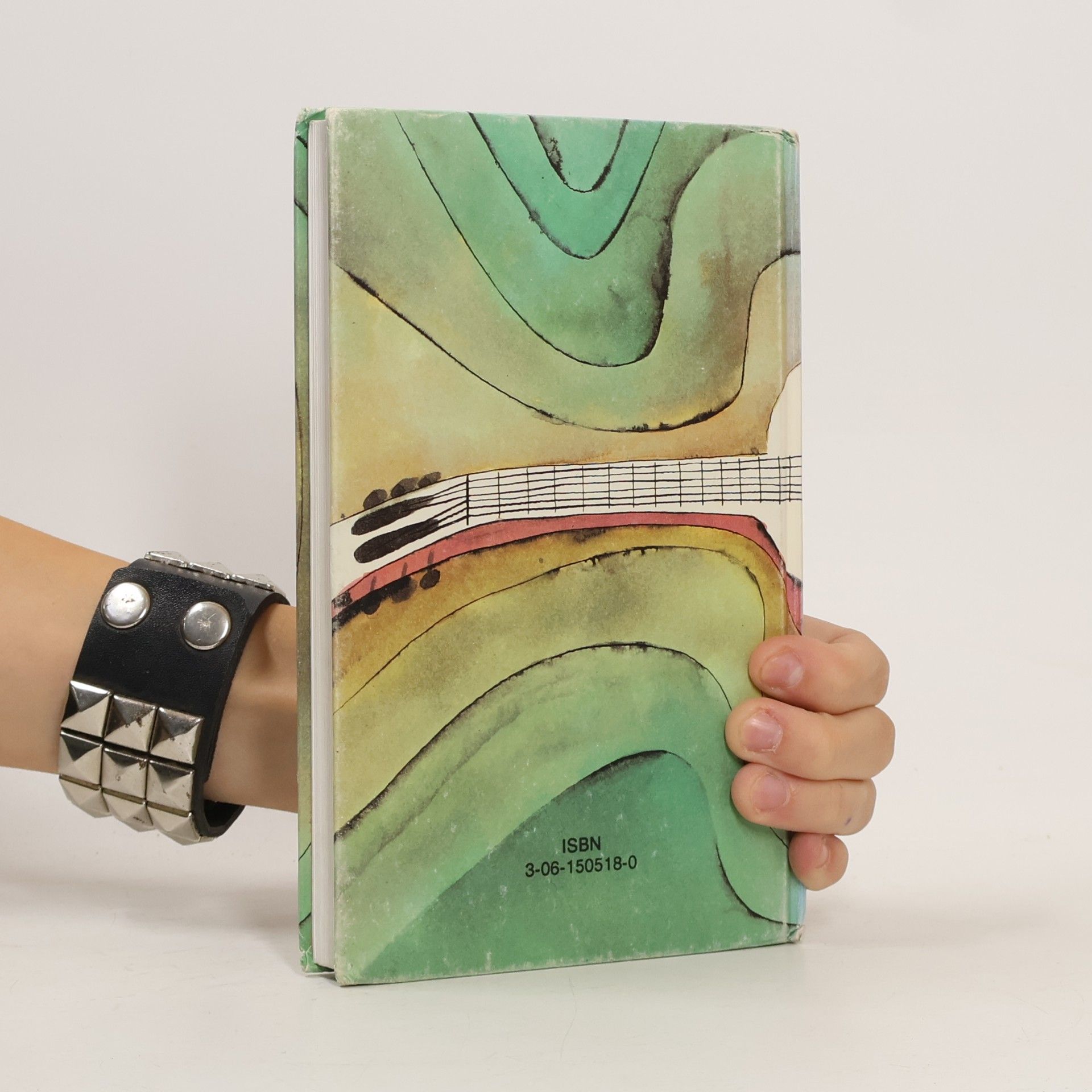Autorenkollektiv Liederbuch für den Musikunterricht an allgemeinbildenden Schulen