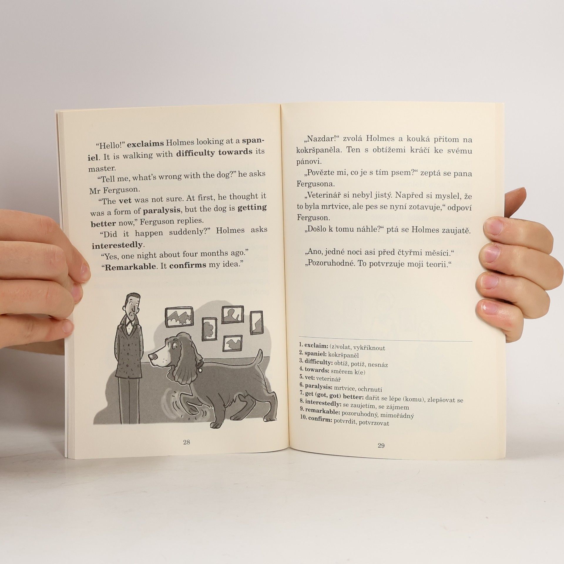 Alexandra Peet Sherlock Holmes. Zrcadlový text pro začátečníky