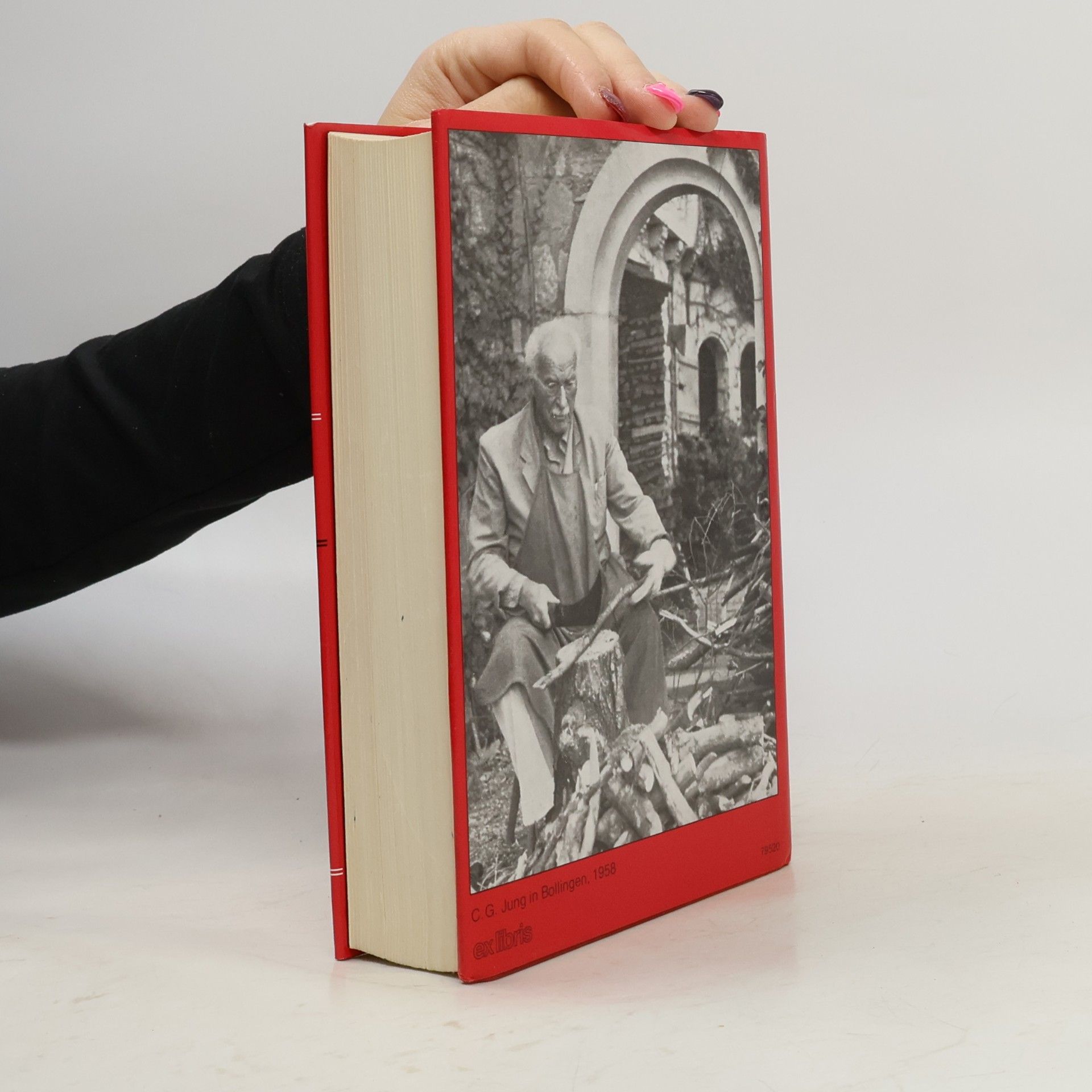 C.G. Jung Psychologie und Alchemie