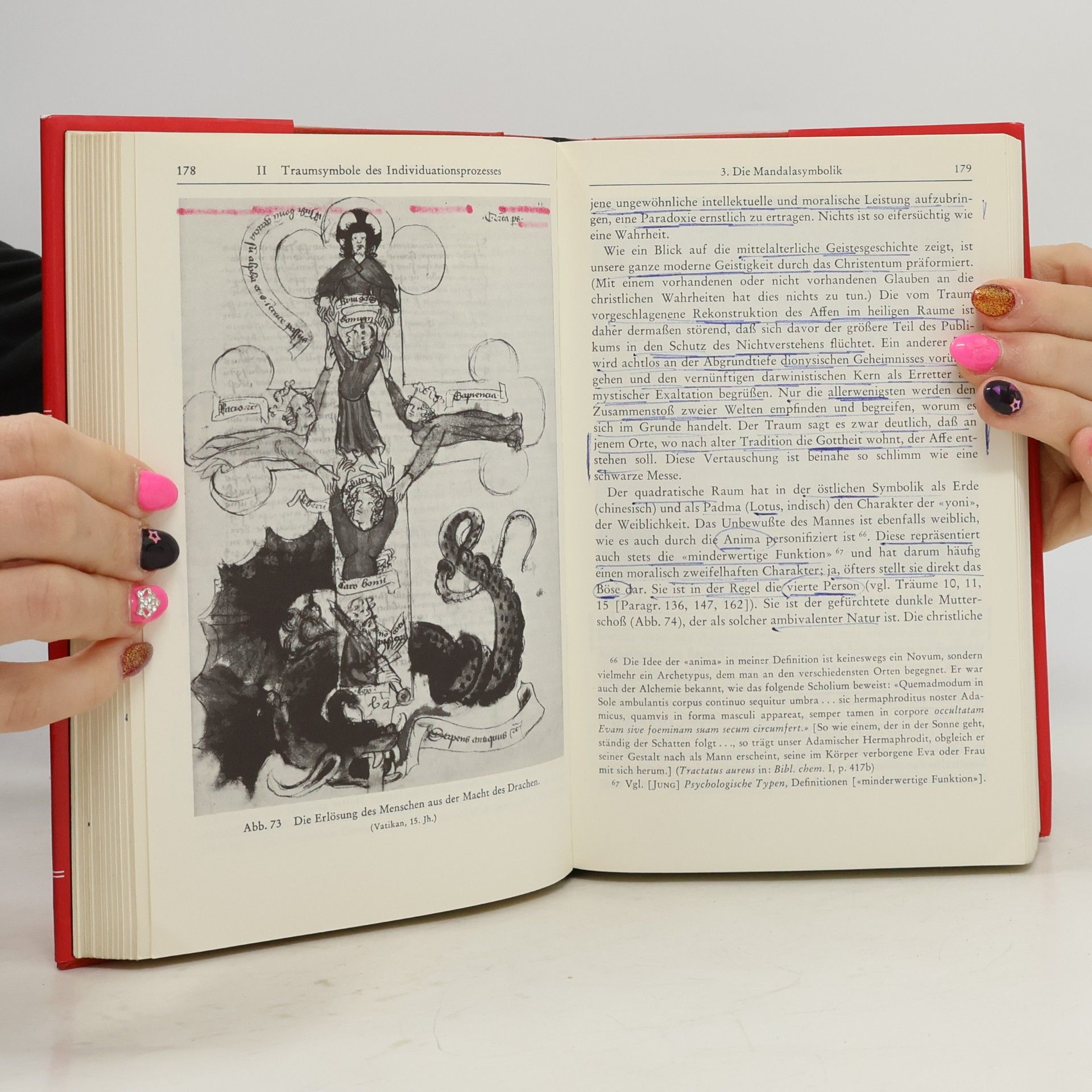 C.G. Jung Psychologie und Alchemie