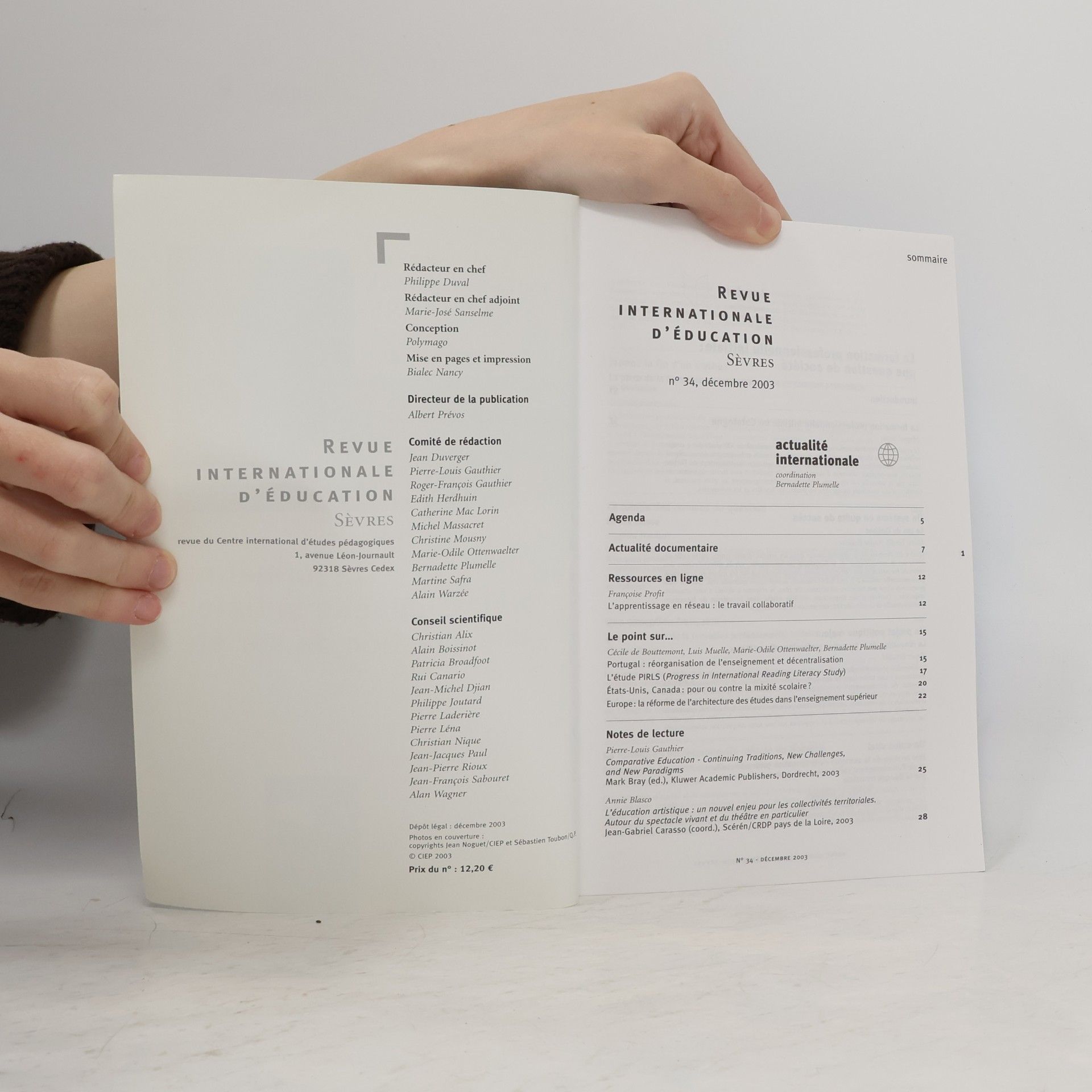 Autorenkollektiv Revue Internationale d'Éducation Sèvres - 34: La formation professionnelle initiale : Une question de société