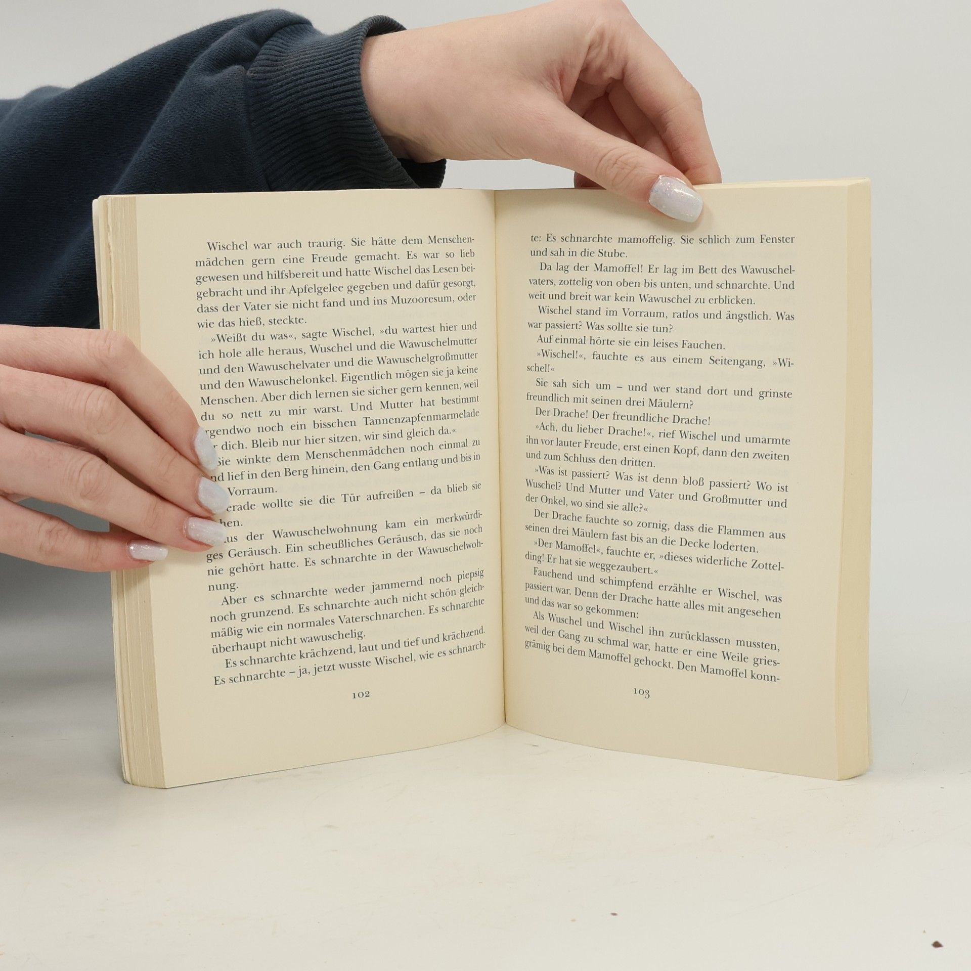 Irina Korschunow Das große Wawuschel-Buch