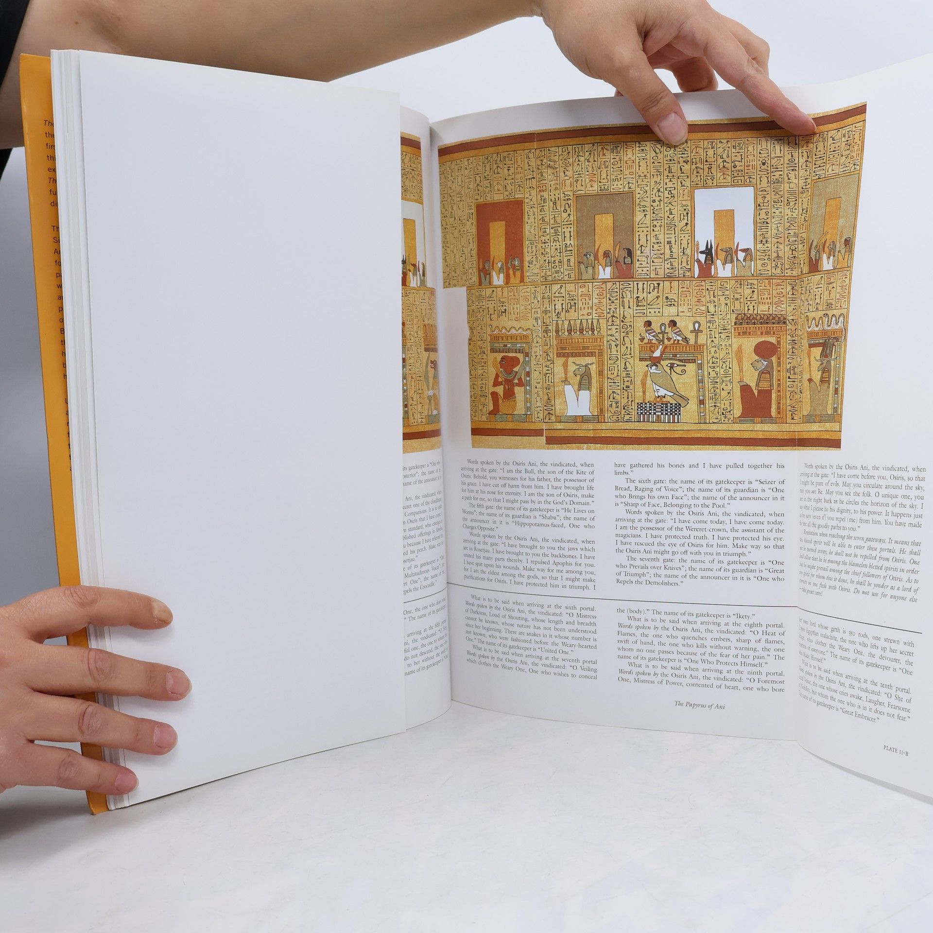 Ogden Goelet The Egyptian Book of the Dead
